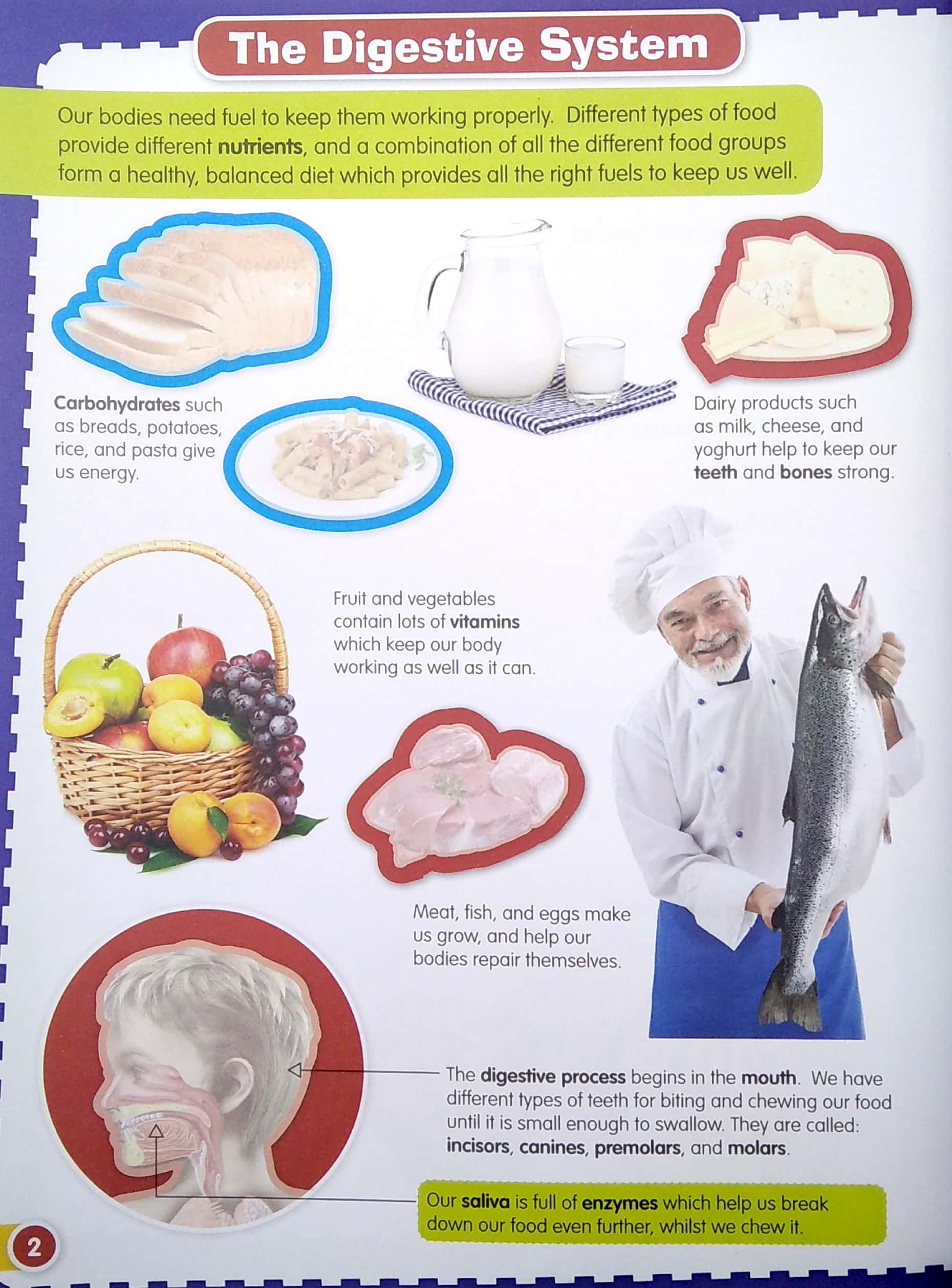 wonders of learning - sticker book - human body - Ảnh 4