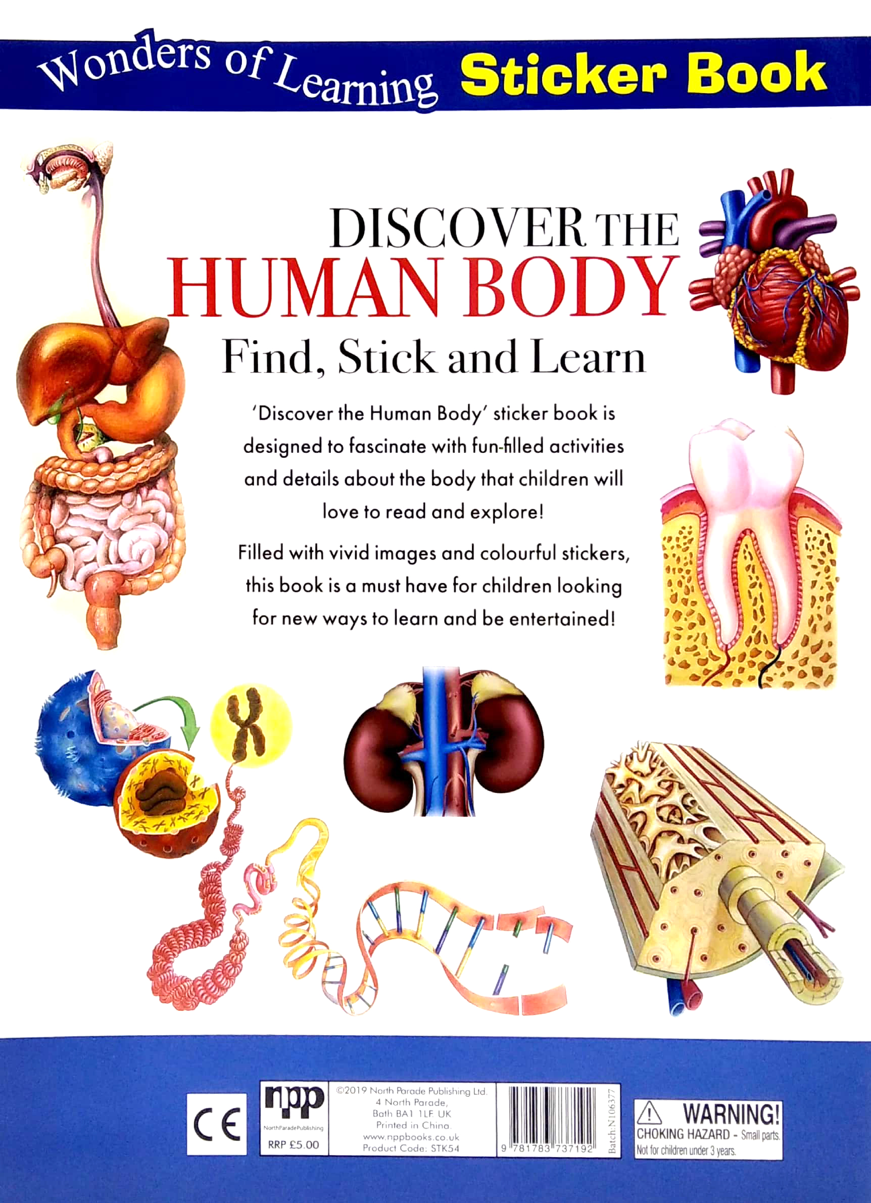 wonders of learning - sticker book - human body - Ảnh 6