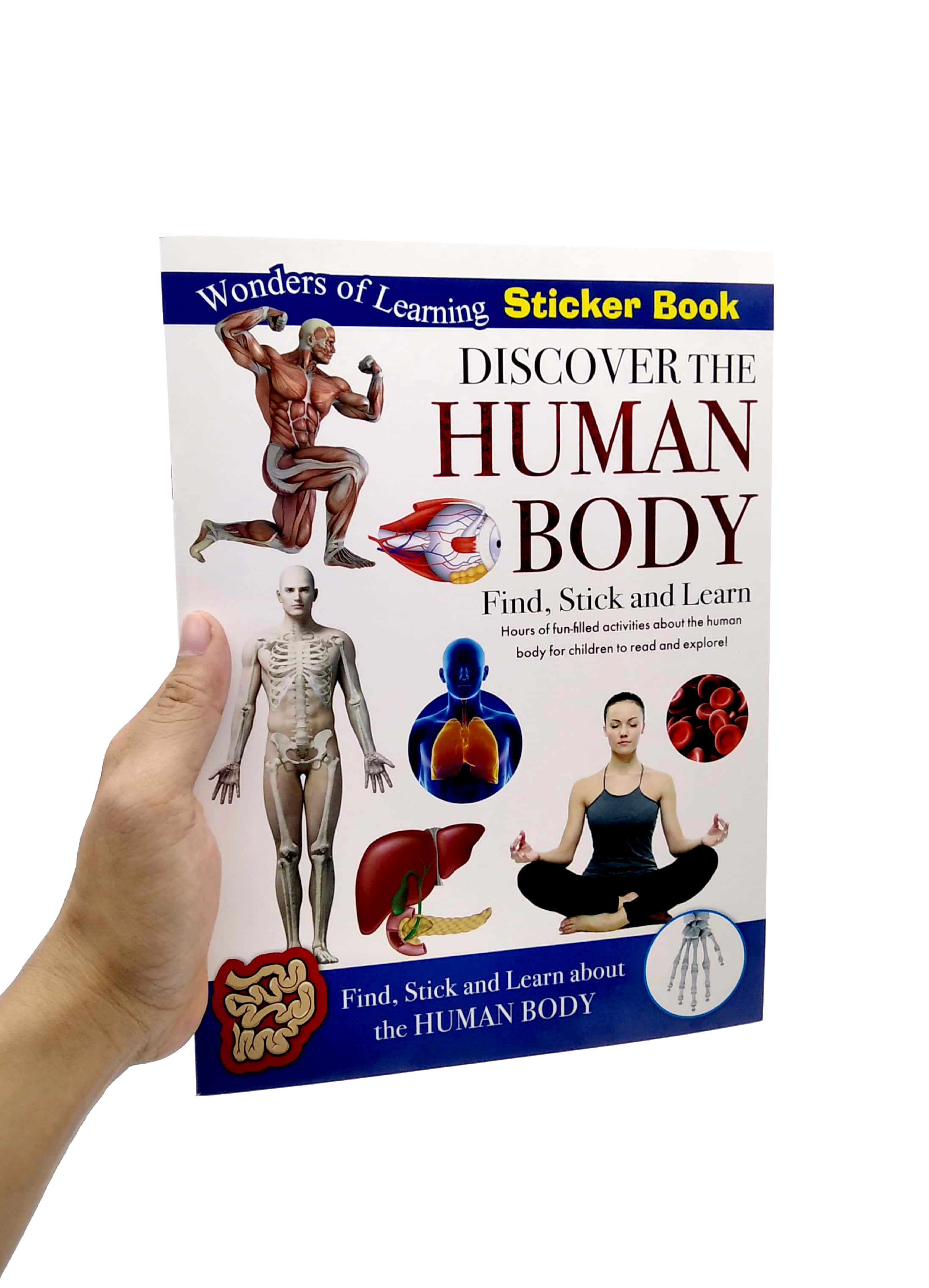 wonders of learning - sticker book - human body - Ảnh 7