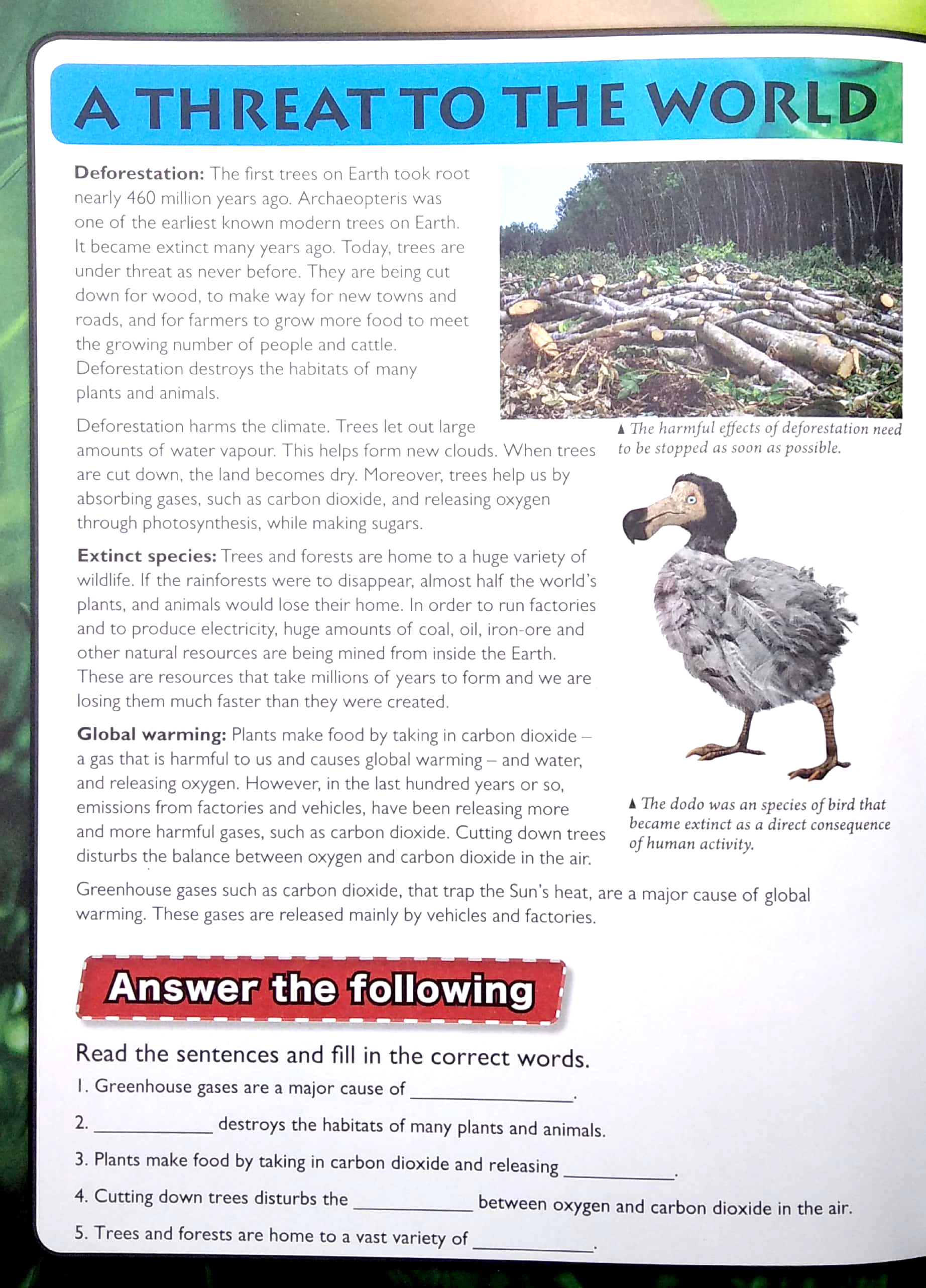 wonders of learning - sticker book - saving planet earth - Ảnh 3