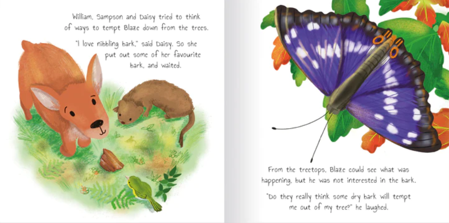 woodland tales 4-book set - Ảnh 4