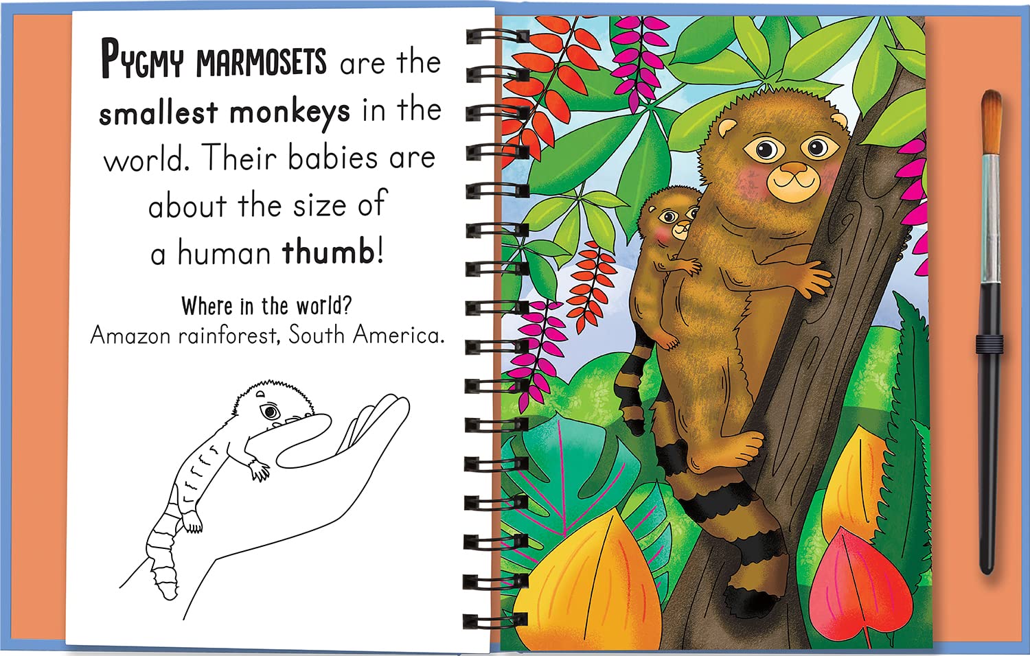 woof and meow - baby animals (magic water colouring) - Ảnh 6