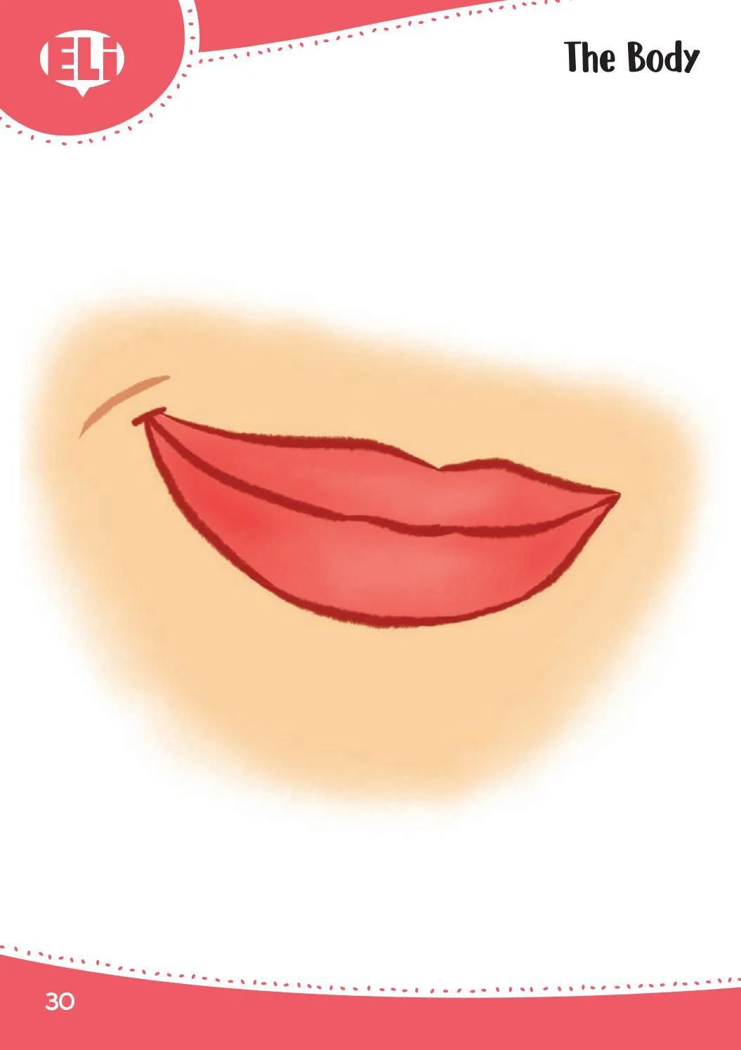 words in pictures (printed flashcards with digital code) - Ảnh 10