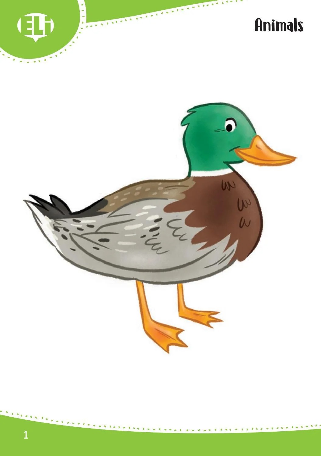 words in pictures (printed flashcards with digital code) - Ảnh 2