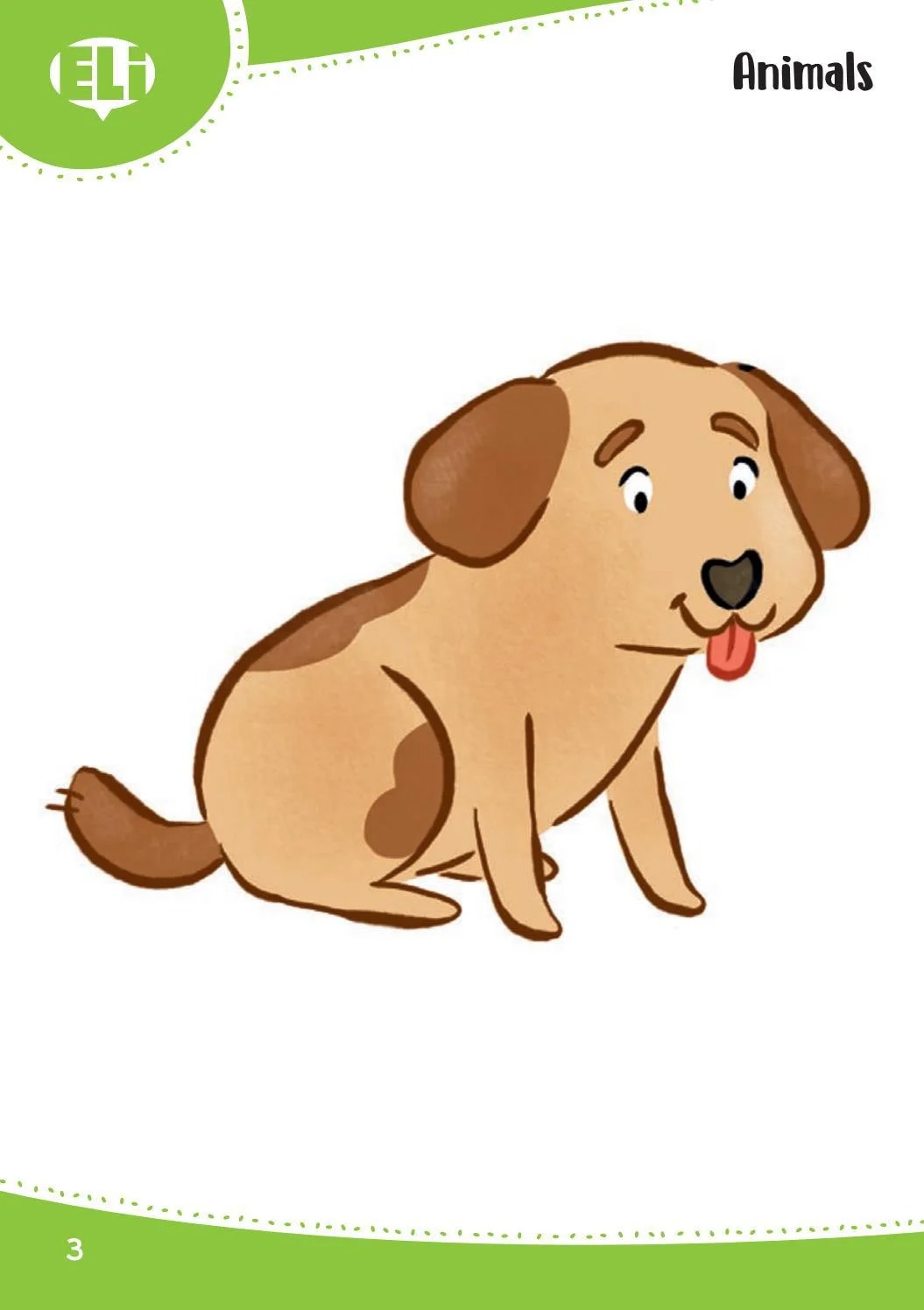 words in pictures (printed flashcards with digital code) - Ảnh 6