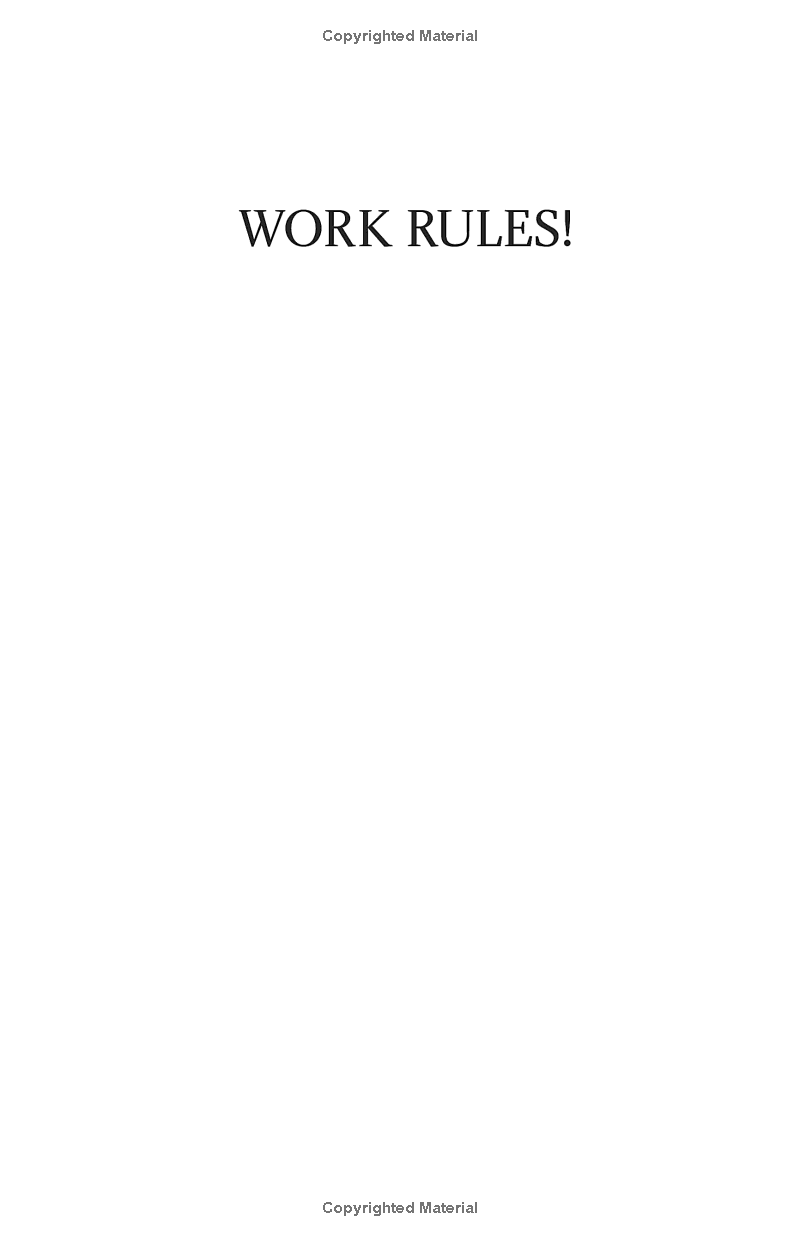 work rules: insights from inside google - Ảnh 3
