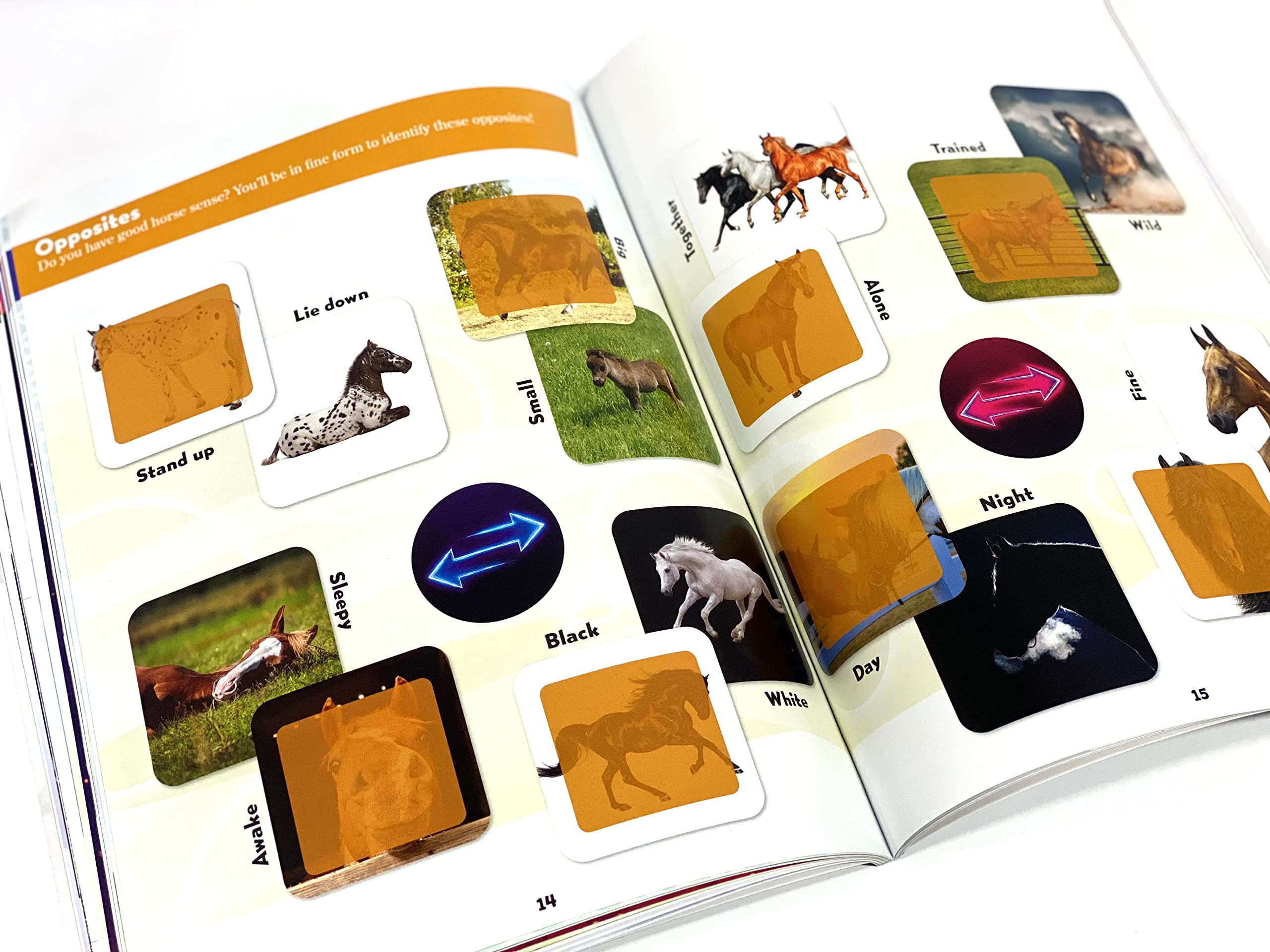 world of horses sticker book treasury - Ảnh 3