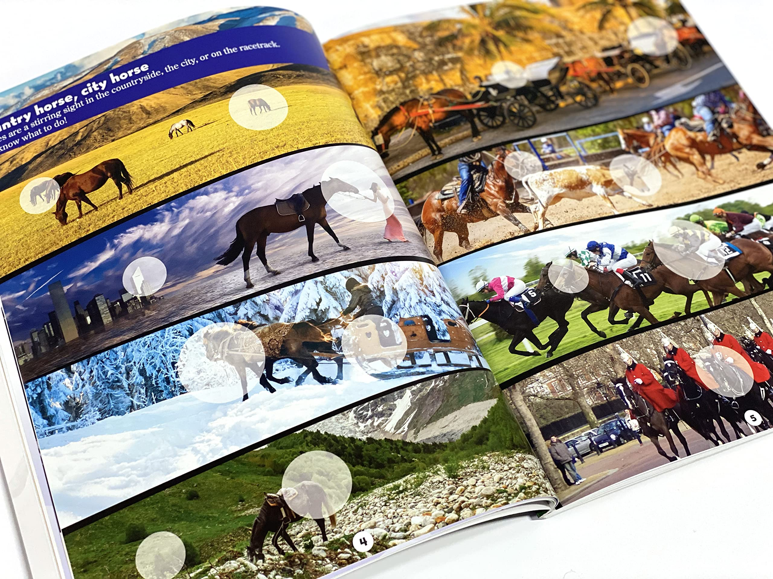 world of horses sticker book treasury - Ảnh 4