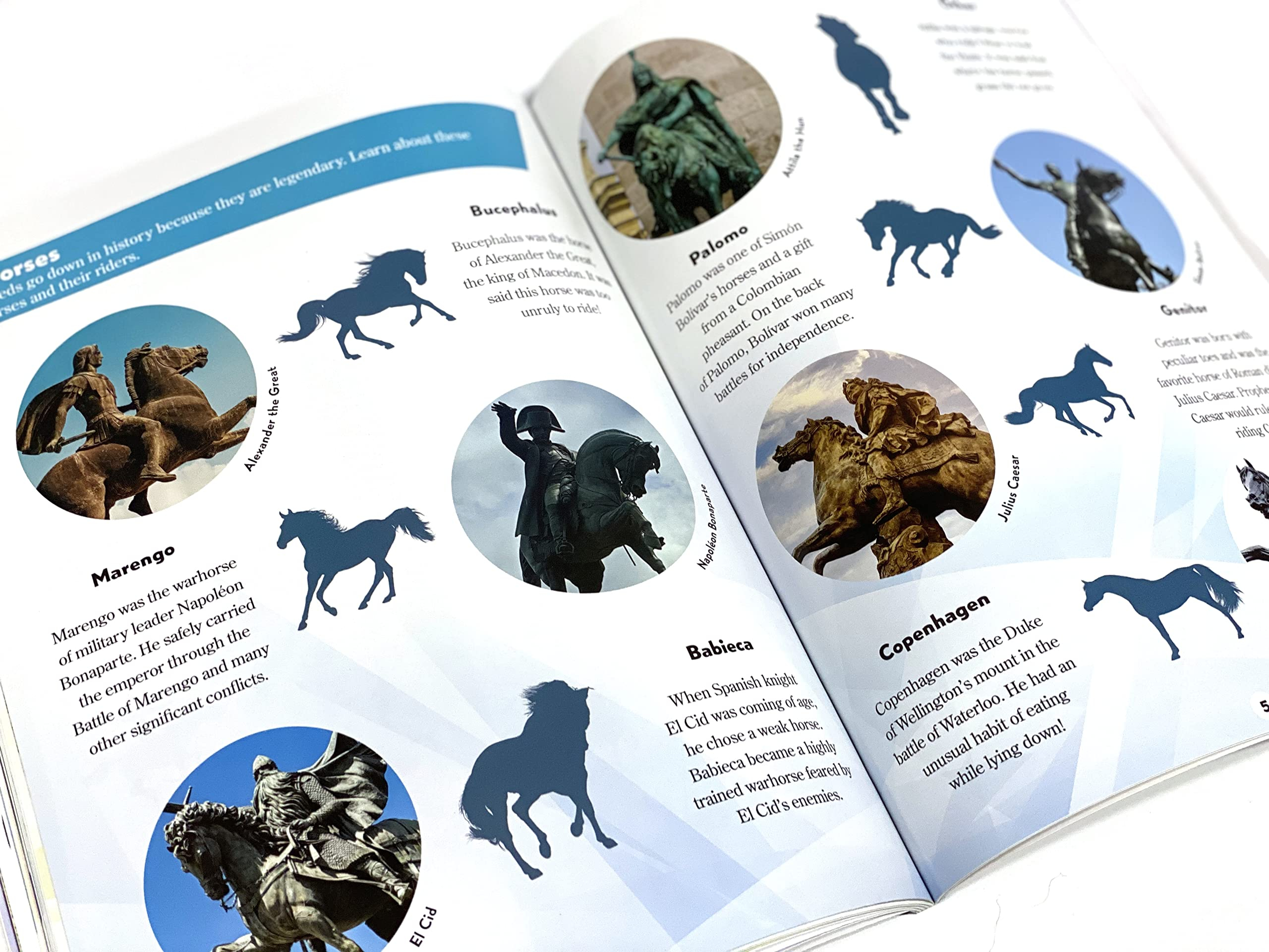 world of horses sticker book treasury - Ảnh 5