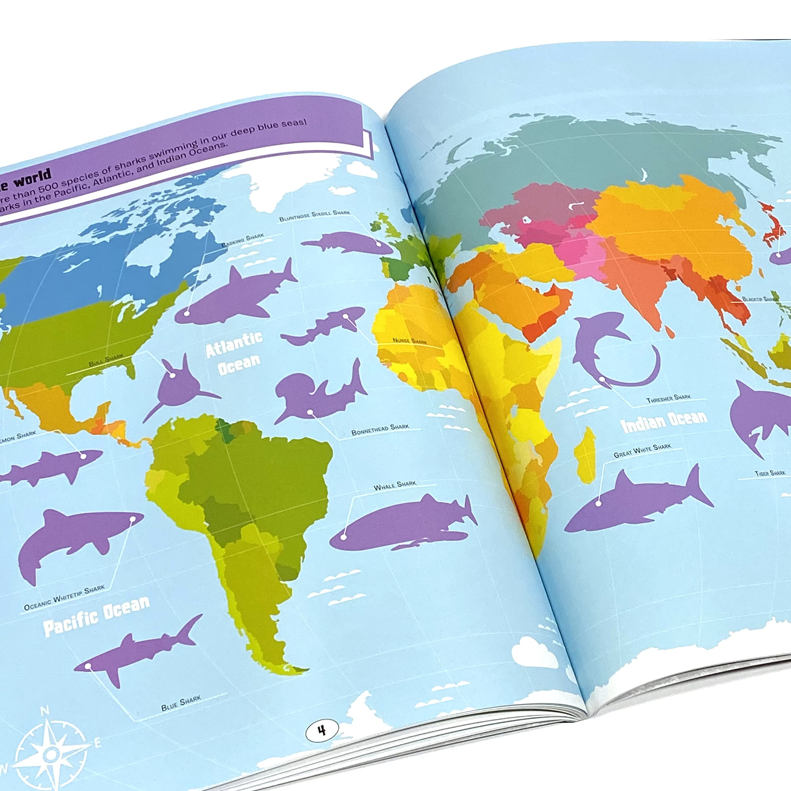 world of sharks sticker book treasury - Ảnh 4