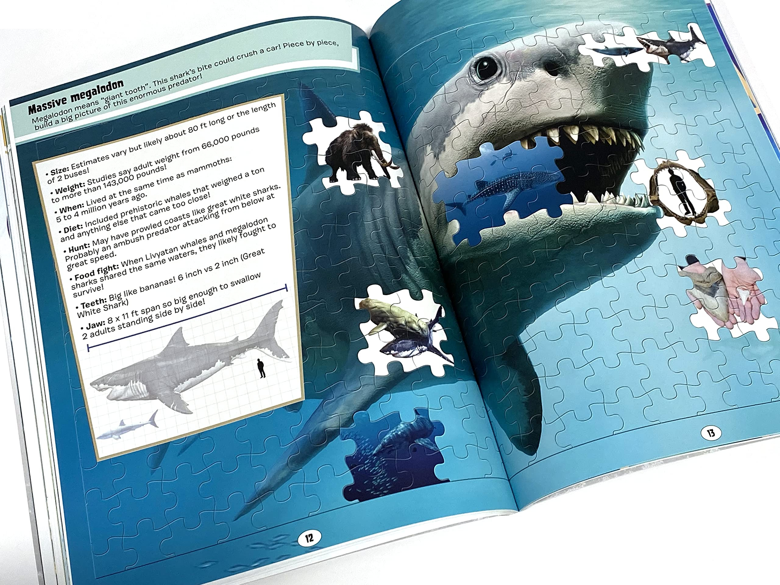 world of sharks sticker book treasury - Ảnh 5