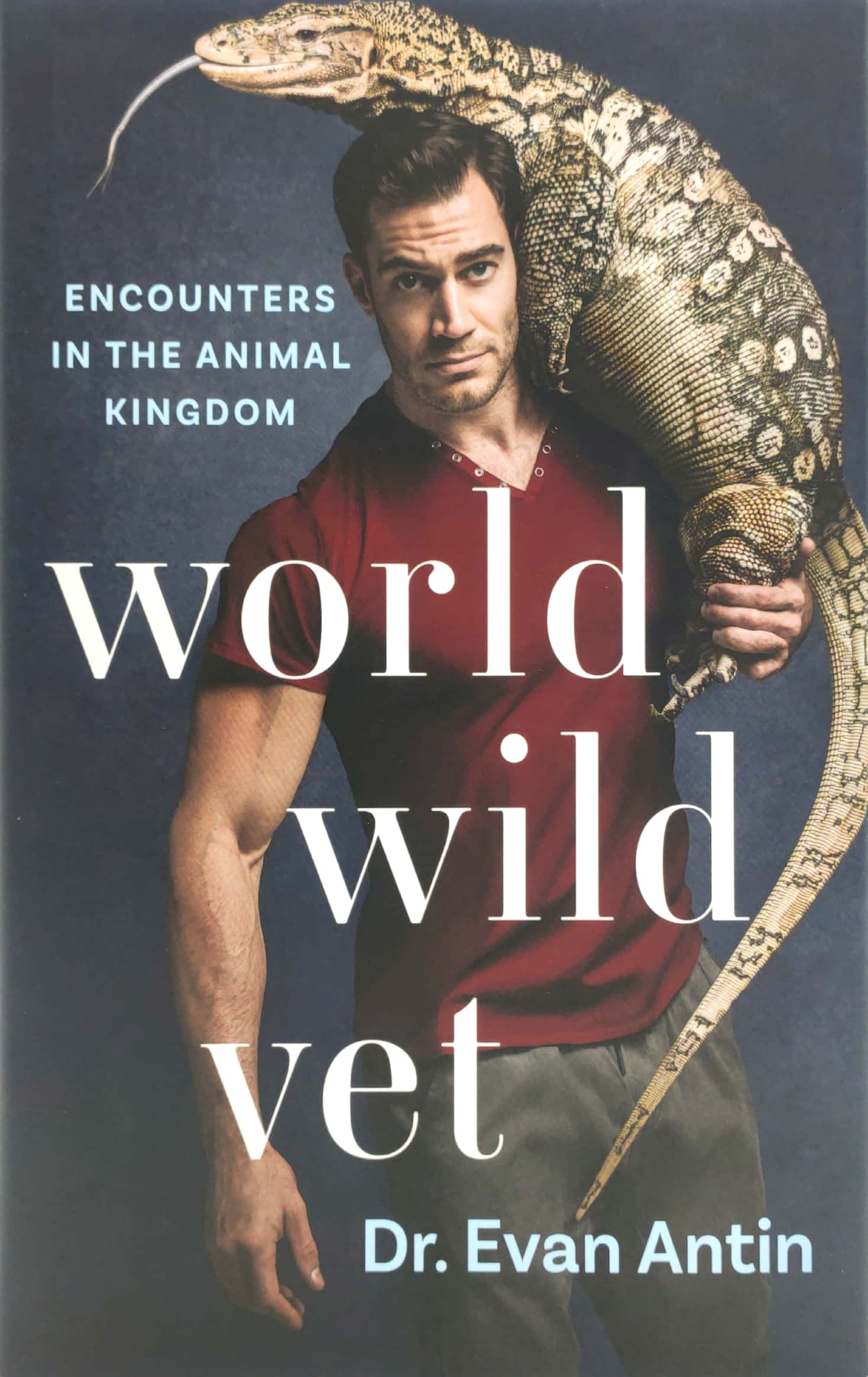 world wild vet: encounters in the animal kingdom - Ảnh 2