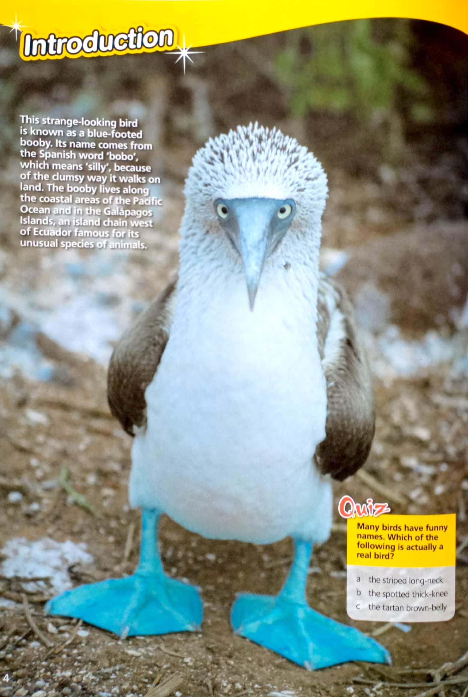 world wonders 4 student's book - Ảnh 4