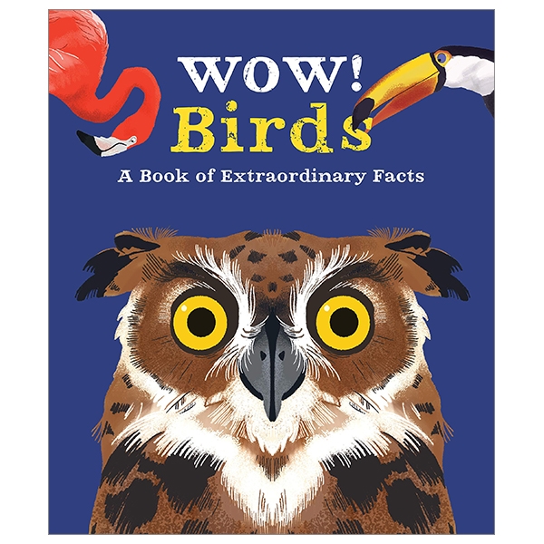 wow! birds