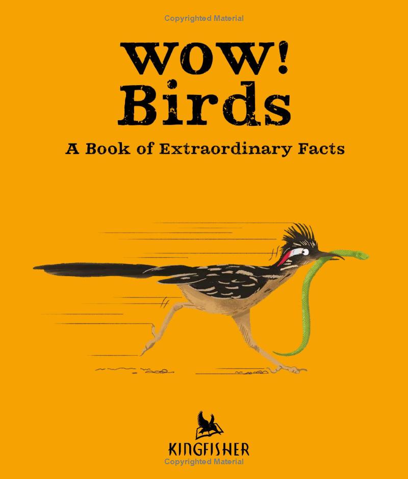wow! birds - Ảnh 5