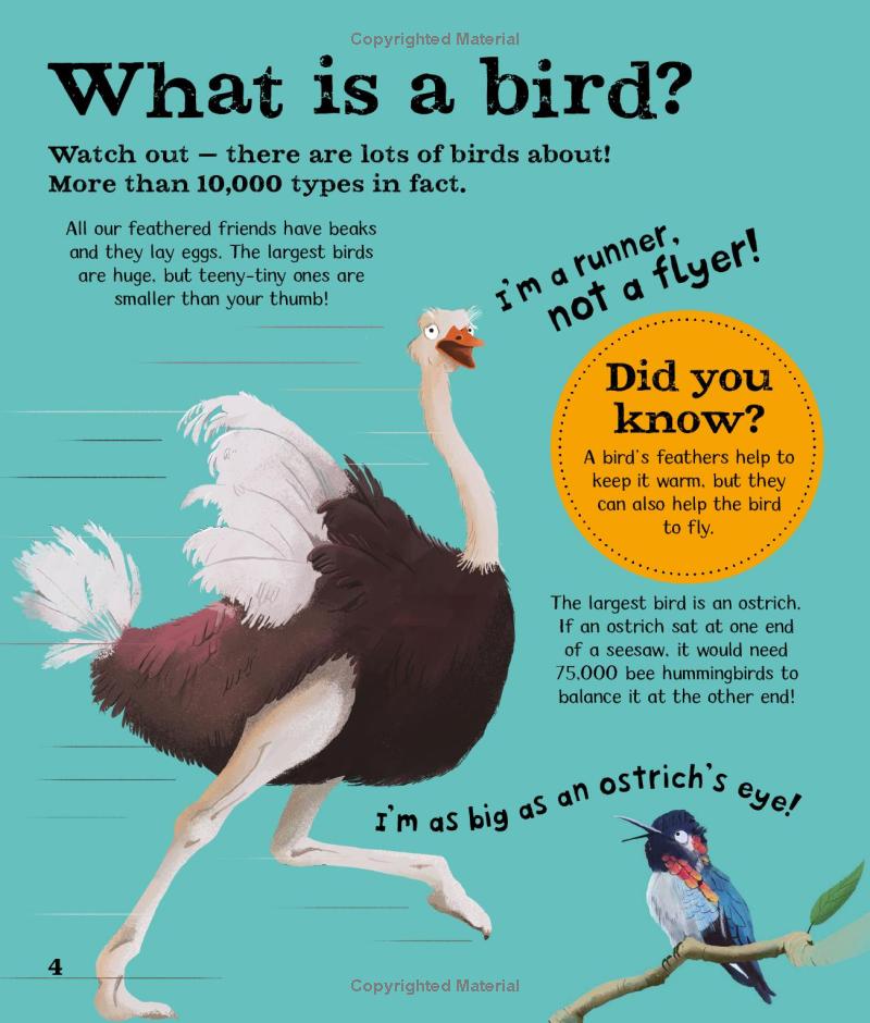 wow! look what birds can do! - Ảnh 5