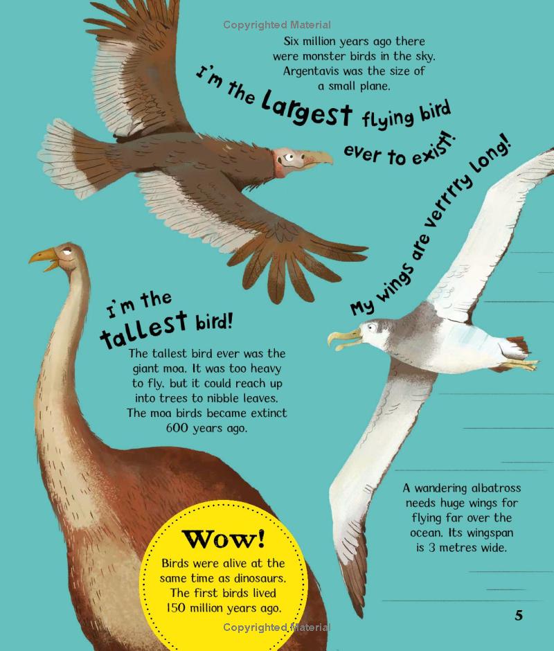 wow! look what birds can do! - Ảnh 6