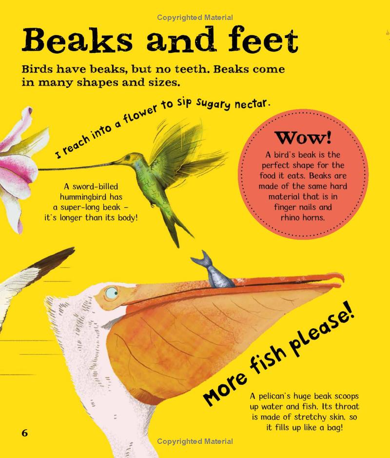 wow! look what birds can do! - Ảnh 7