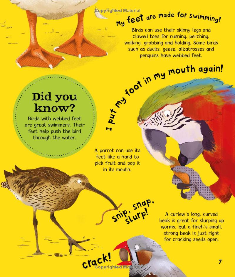 wow! look what birds can do! - Ảnh 8