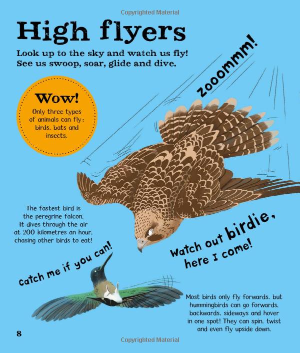 wow! look what birds can do! - Ảnh 9