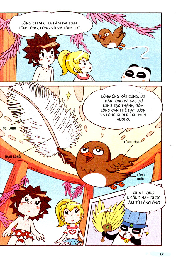 wow! - những bí mật kỳ diệu dành cho học sinh - khám phá các loài chim (tái bản) - Ảnh 11