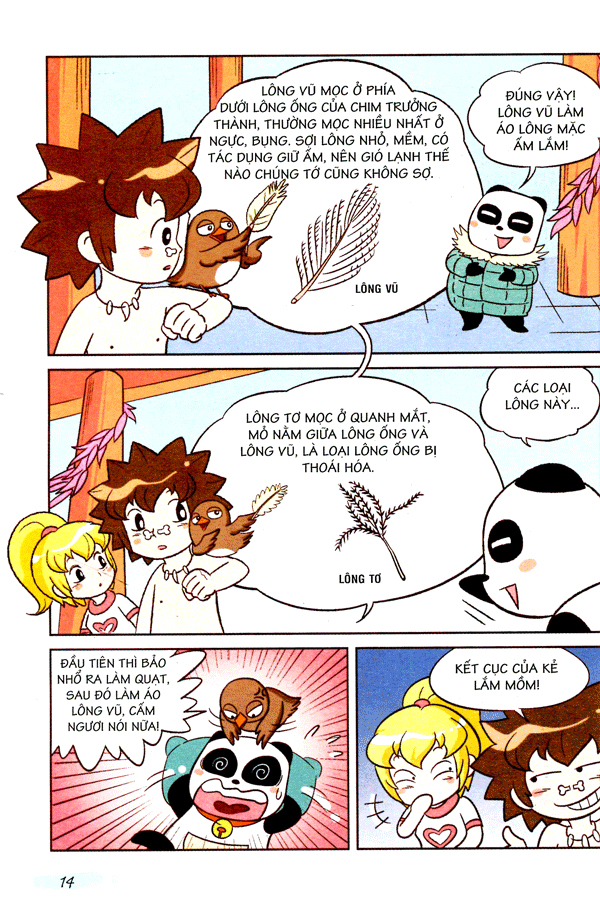 wow! - những bí mật kỳ diệu dành cho học sinh - khám phá các loài chim (tái bản) - Ảnh 12