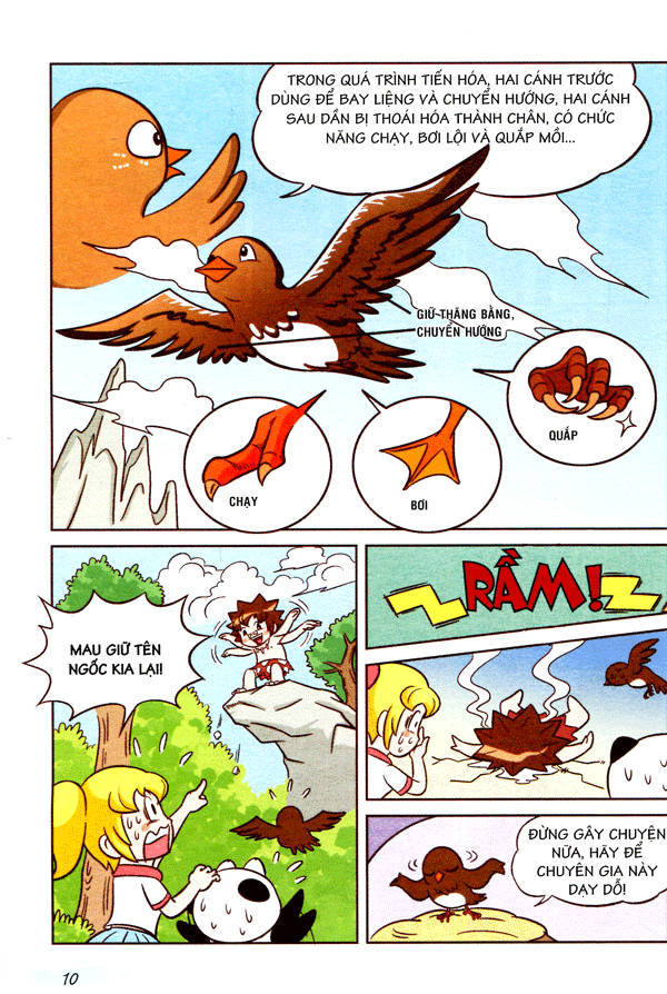 wow! - những bí mật kỳ diệu dành cho học sinh - khám phá các loài chim (tái bản) - Ảnh 8