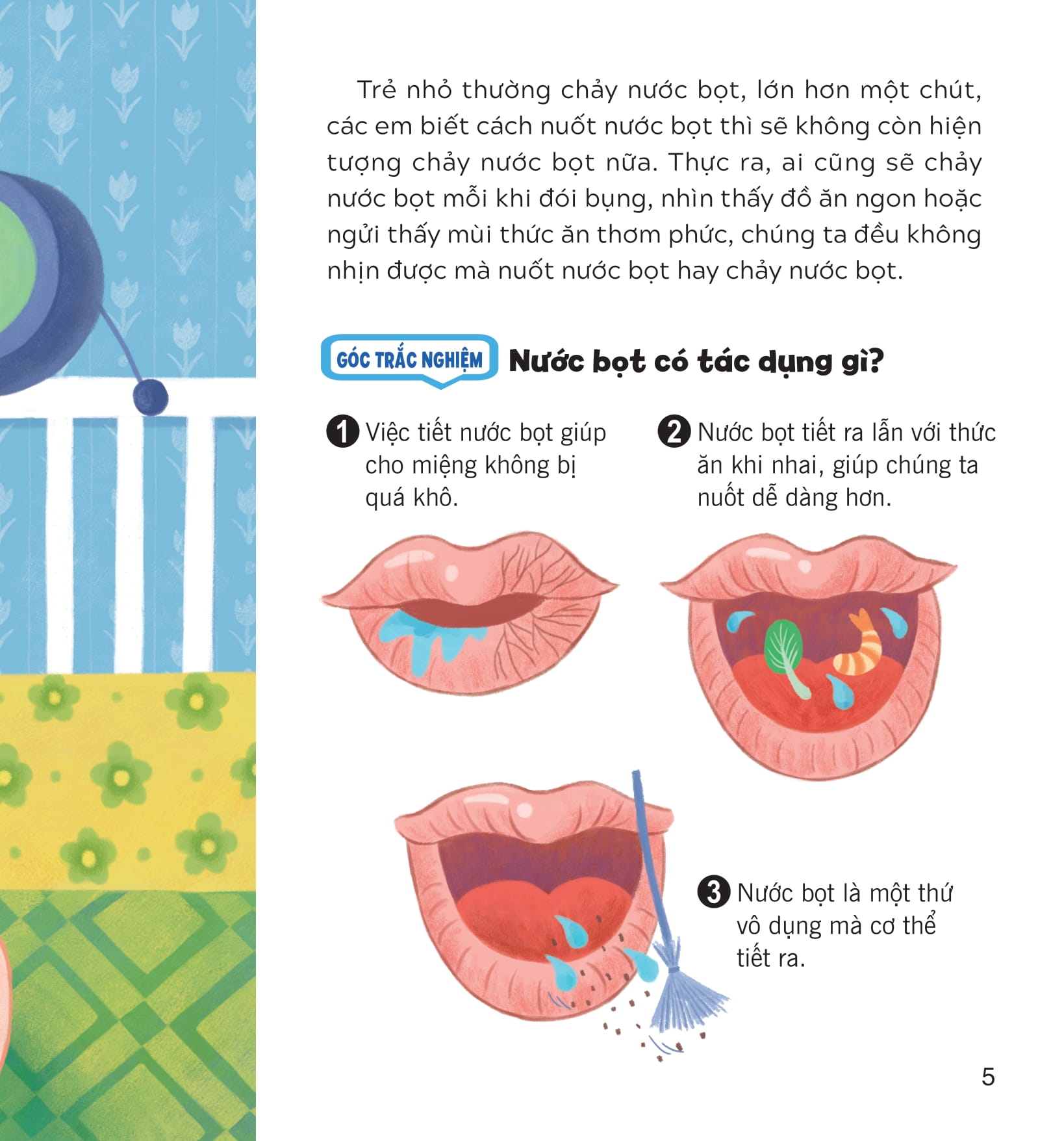 wow, thì ra là thế! - bí ẩn cơ thể người - Ảnh 11