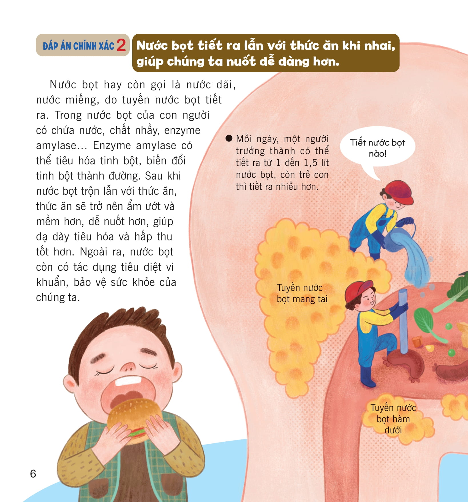wow, thì ra là thế! - bí ẩn cơ thể người - Ảnh 13