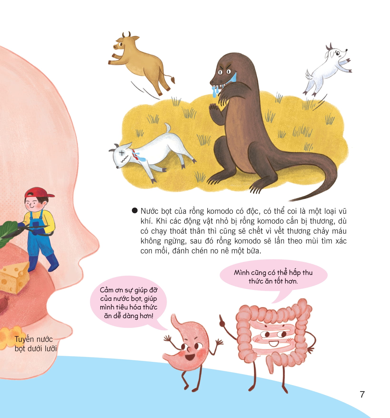 wow, thì ra là thế! - bí ẩn cơ thể người - Ảnh 15