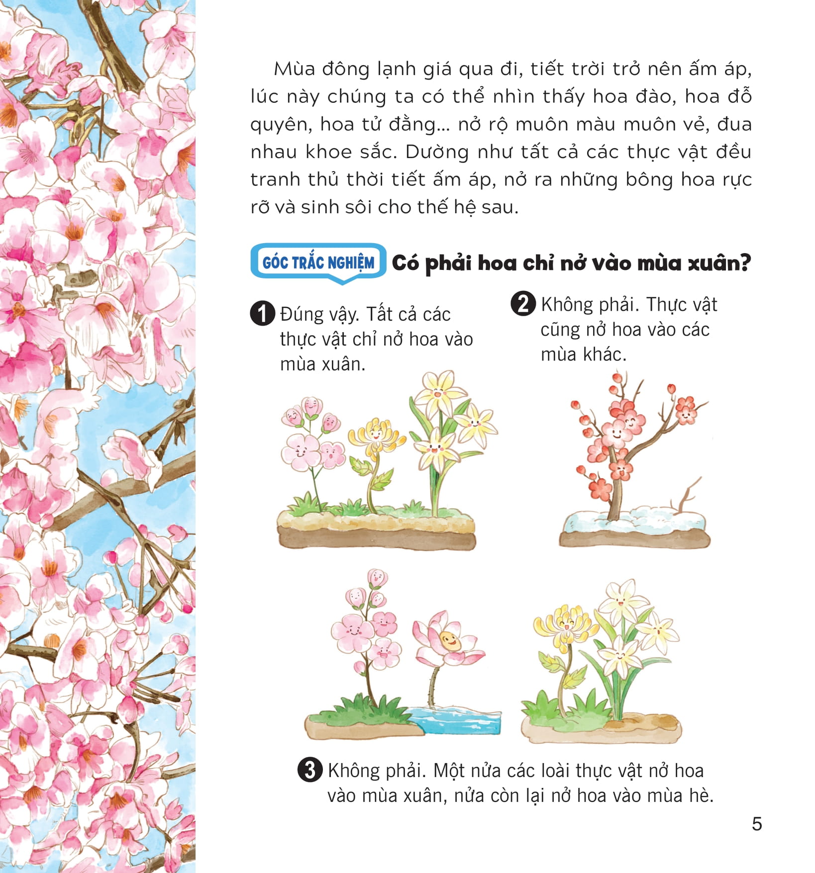 wow, thì ra là thế! - bí mật nhỏ của thực vật - Ảnh 10