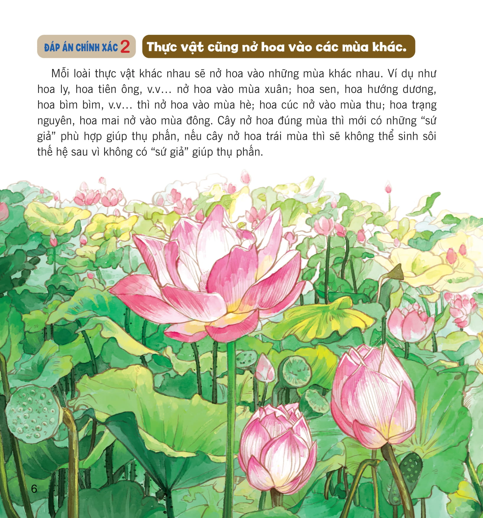 wow, thì ra là thế! - bí mật nhỏ của thực vật - Ảnh 12