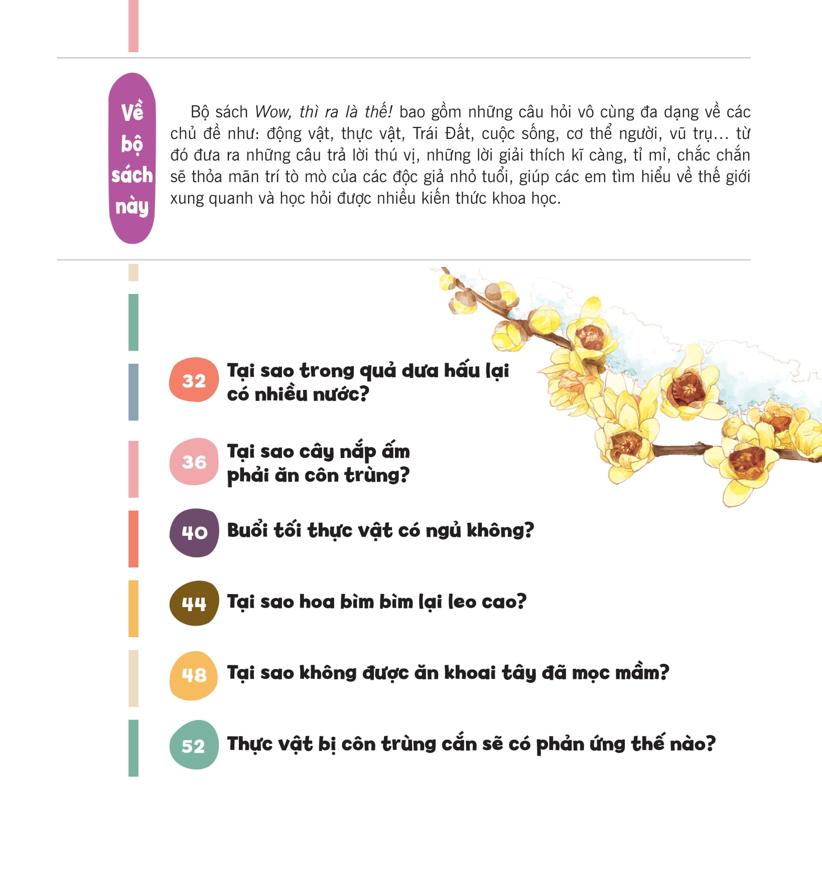 wow, thì ra là thế! - bí mật nhỏ của thực vật - Ảnh 6