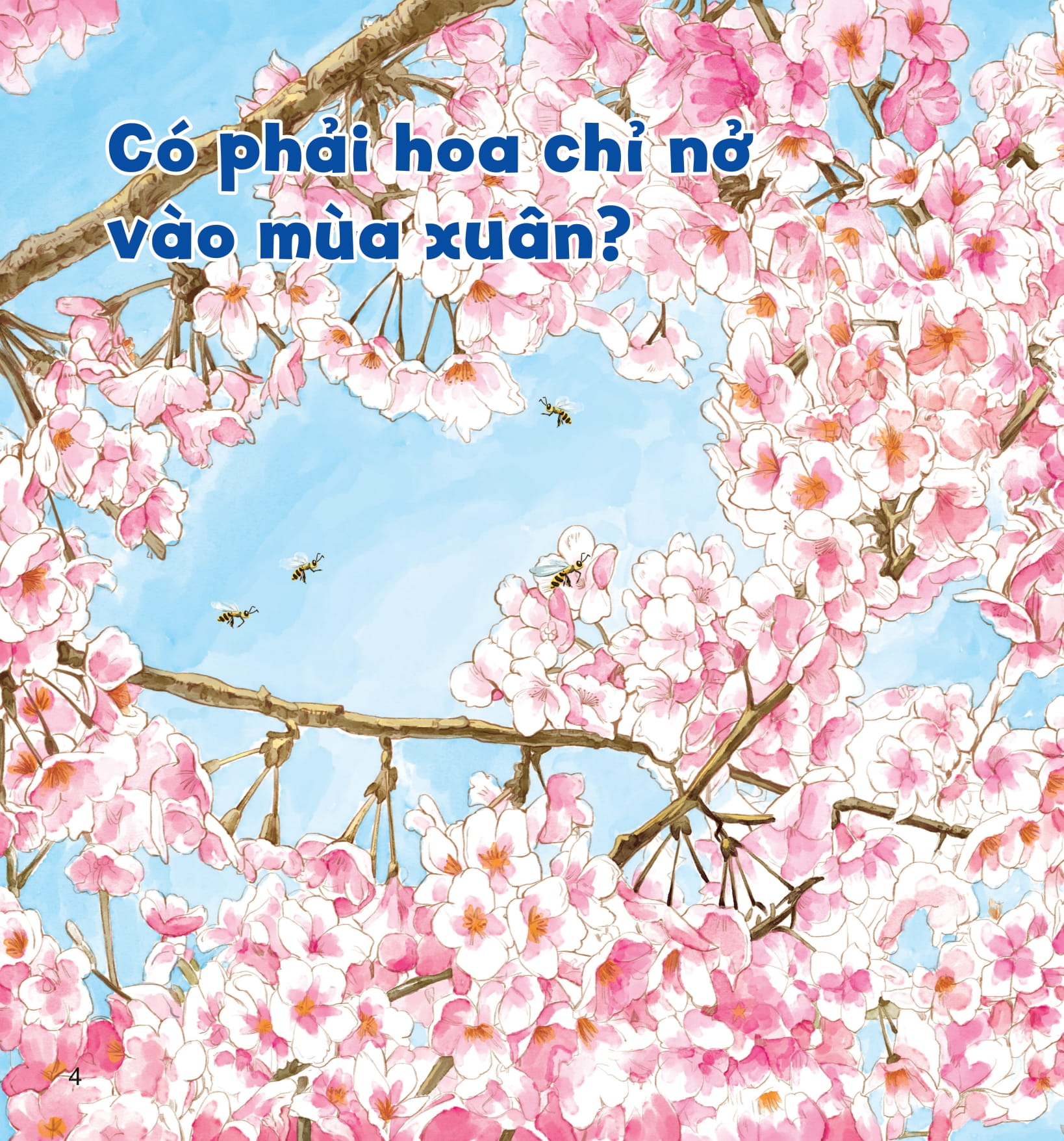 wow, thì ra là thế! - bí mật nhỏ của thực vật - Ảnh 9