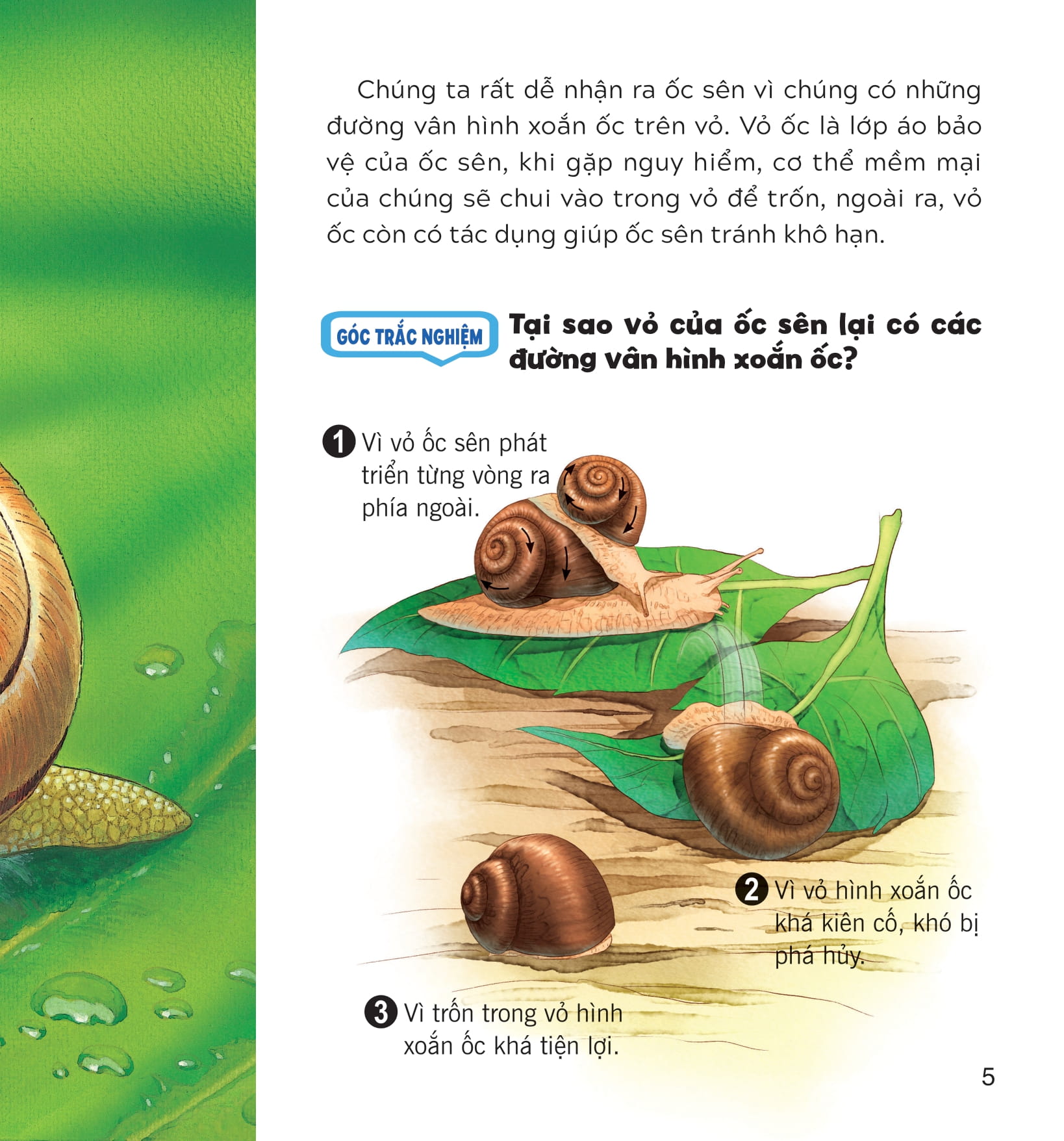 wow, thì ra là thế! - cơ thể của động vật - Ảnh 10