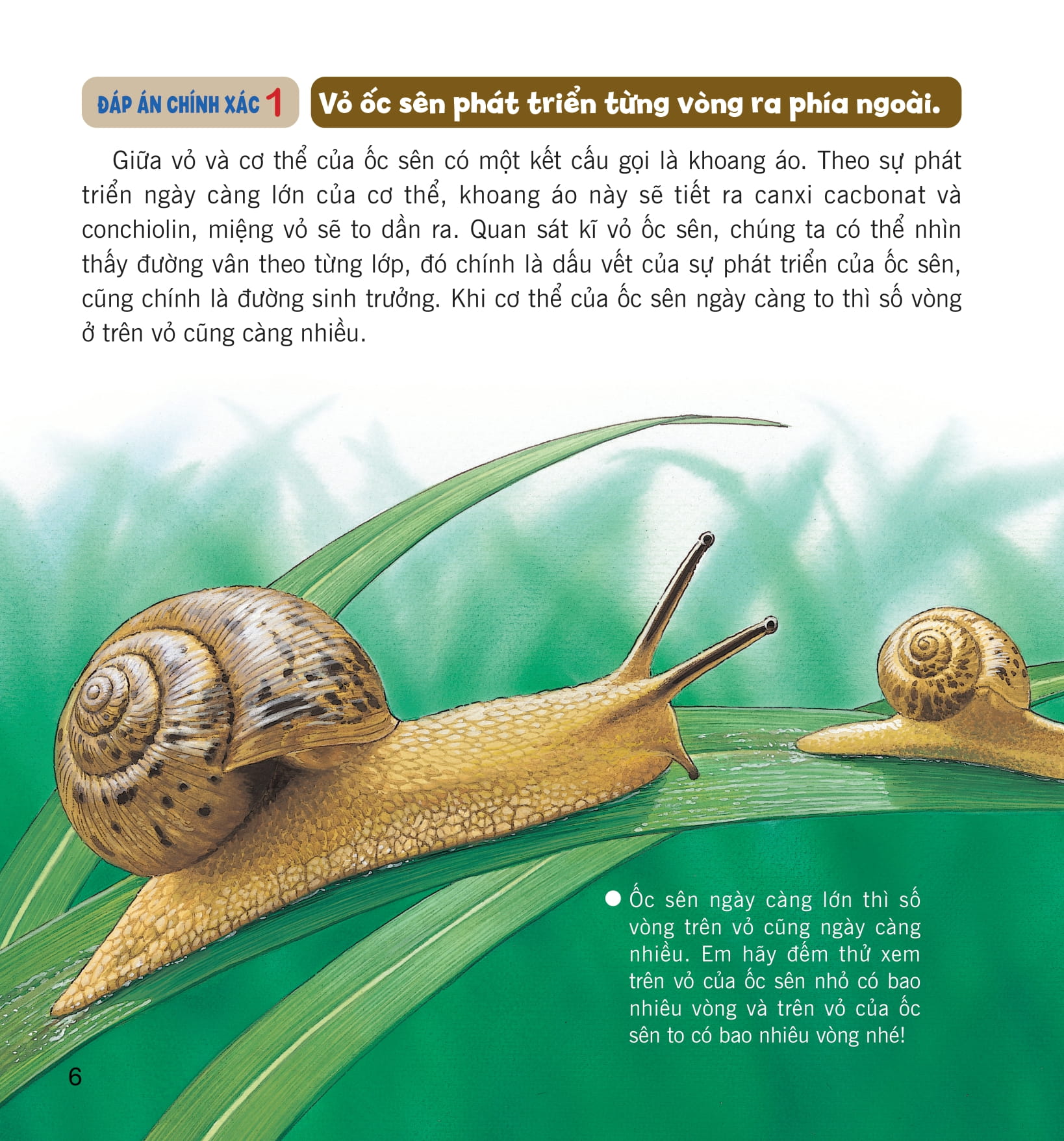 wow, thì ra là thế! - cơ thể của động vật - Ảnh 12