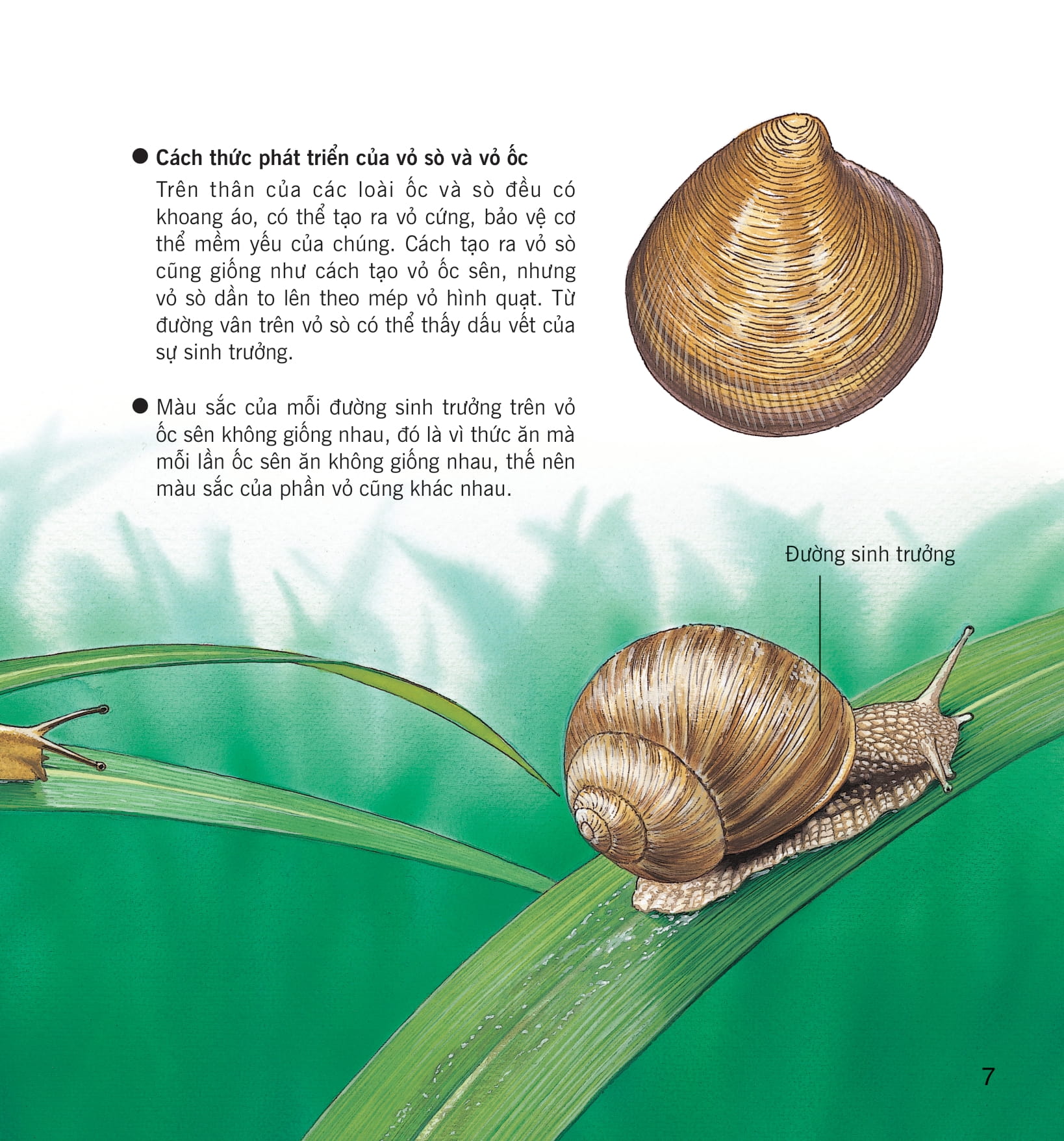 wow, thì ra là thế! - cơ thể của động vật - Ảnh 14