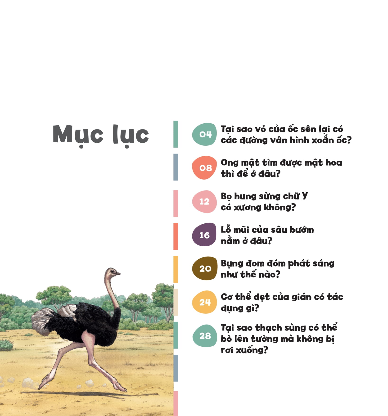 wow, thì ra là thế! - cơ thể của động vật - Ảnh 4