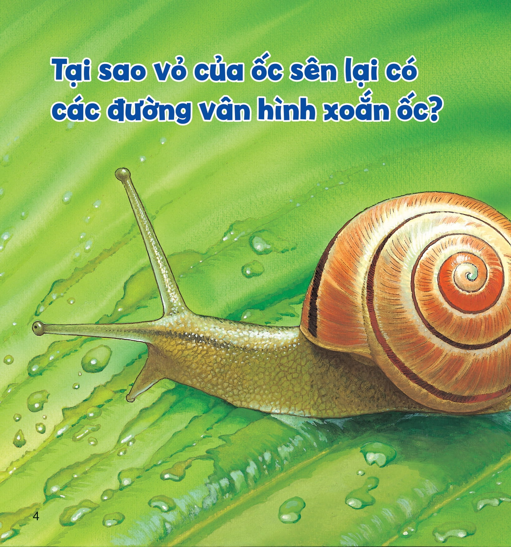 wow, thì ra là thế! - cơ thể của động vật - Ảnh 9