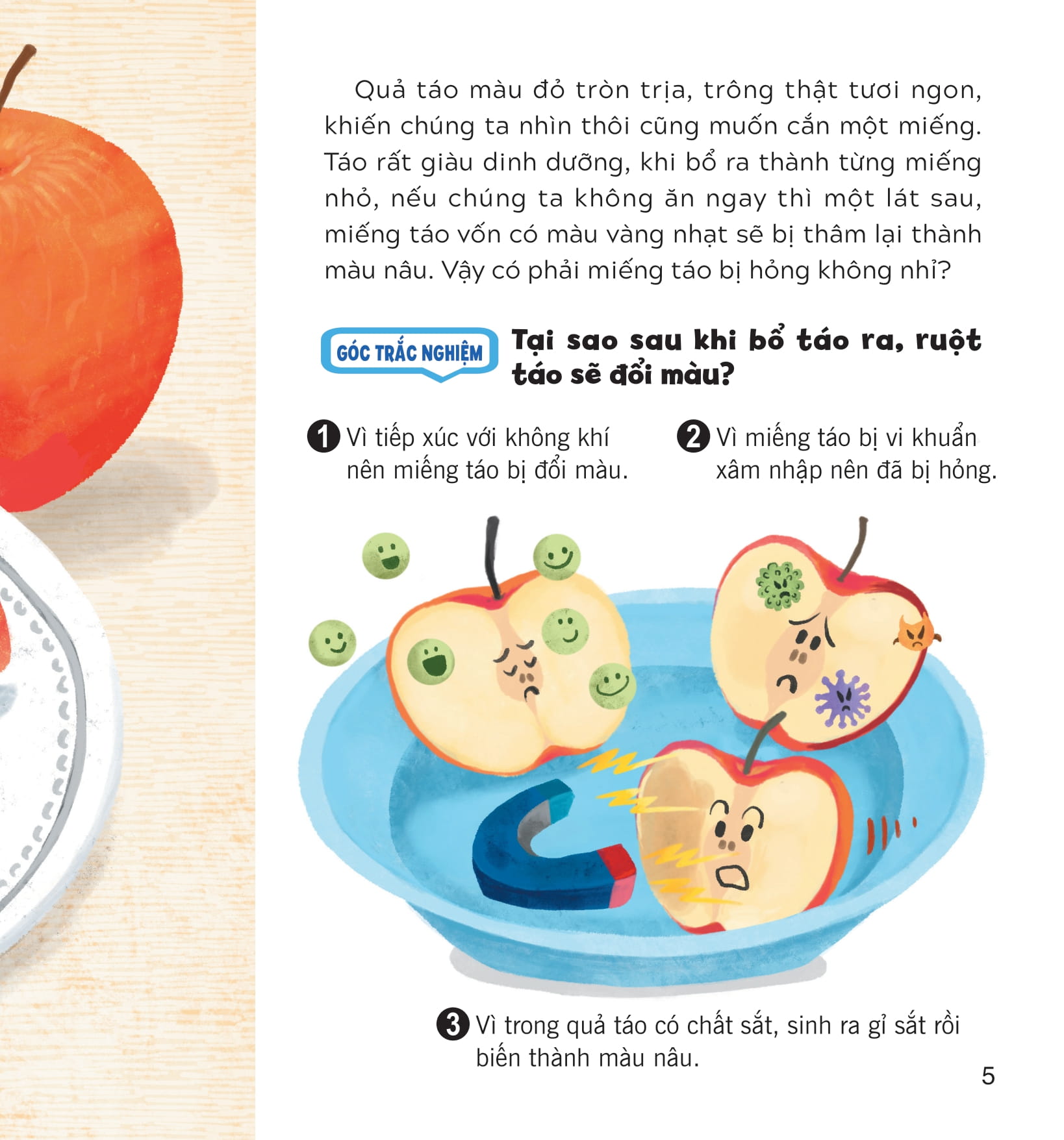 wow, thì ra là thế! - khoa học trong cuộc sống - Ảnh 11