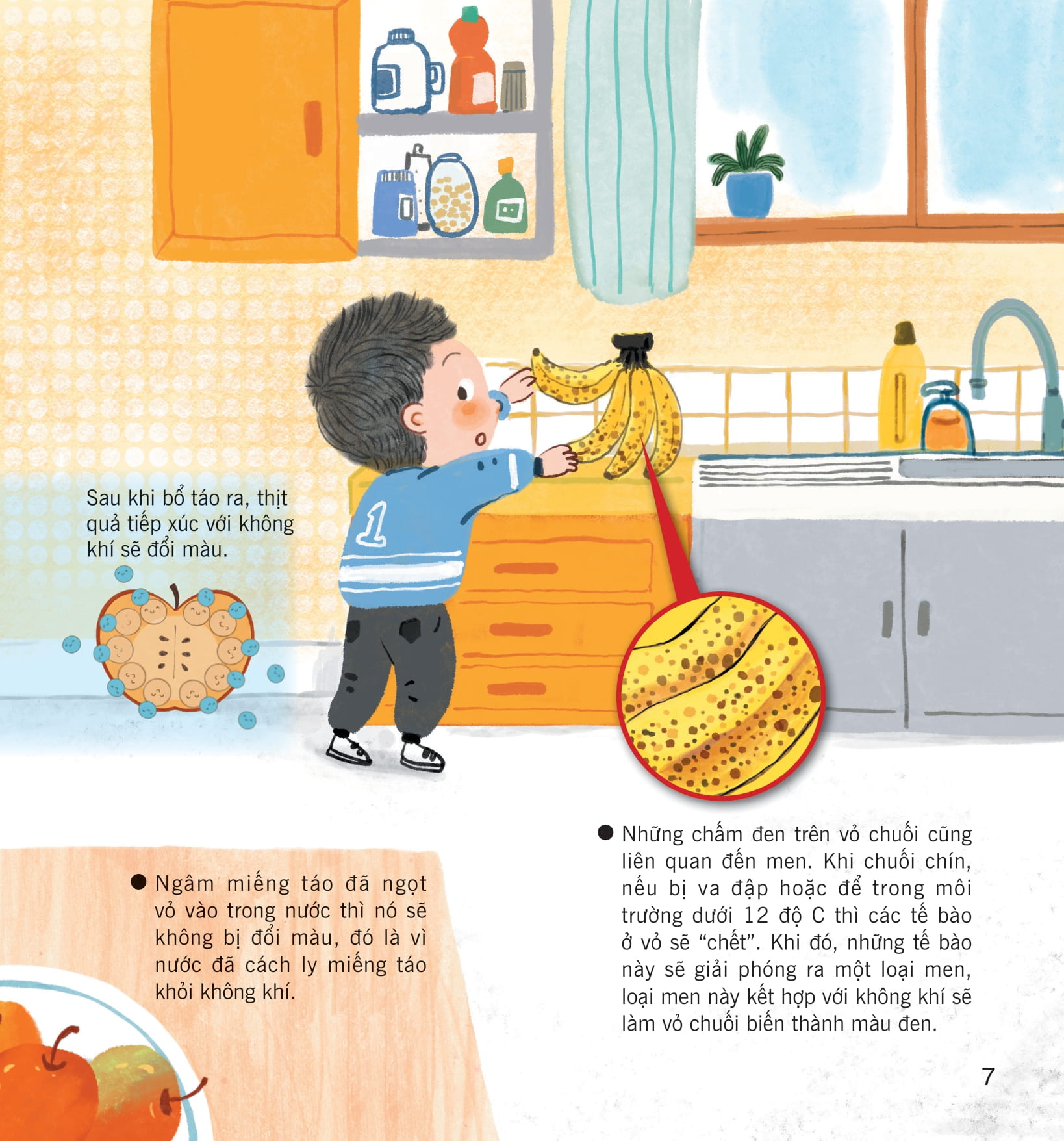 wow, thì ra là thế! - khoa học trong cuộc sống - Ảnh 14