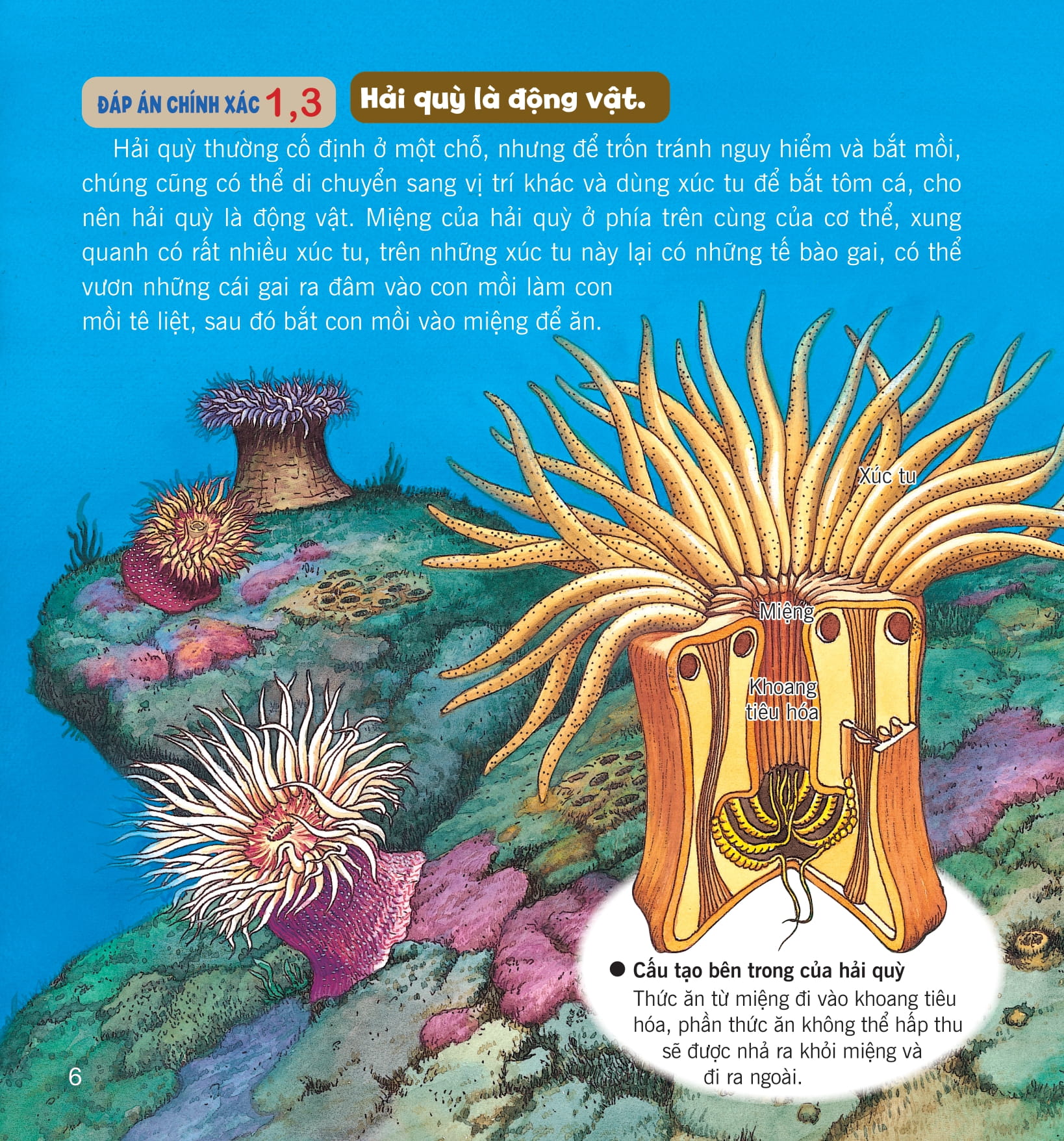 wow, thì ra là thế! - kiến thức ít ai biết về động vật - Ảnh 12