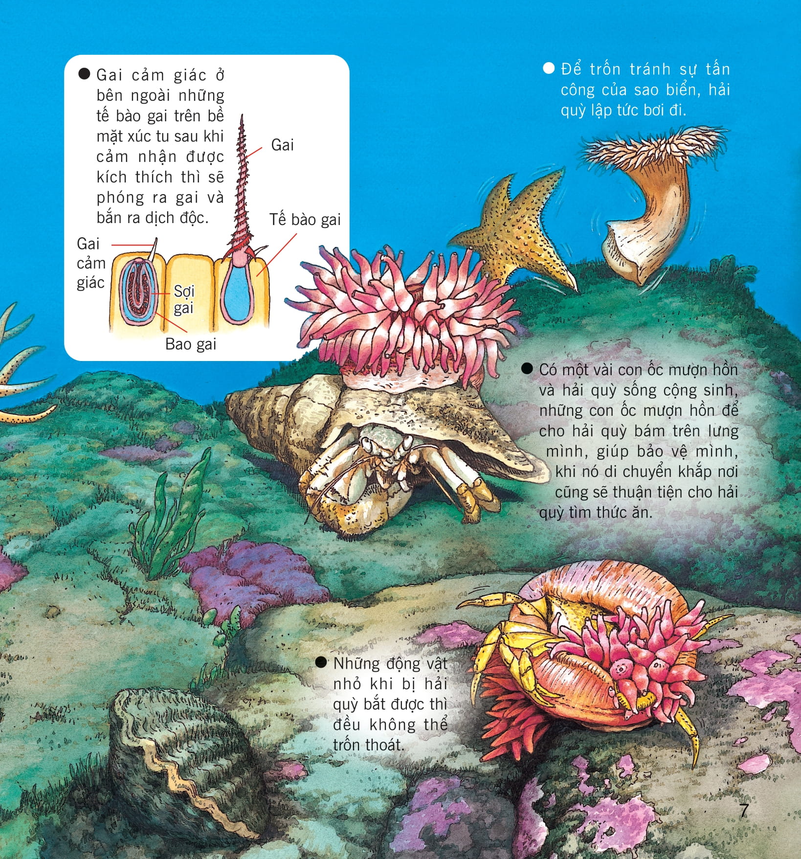 wow, thì ra là thế! - kiến thức ít ai biết về động vật - Ảnh 15