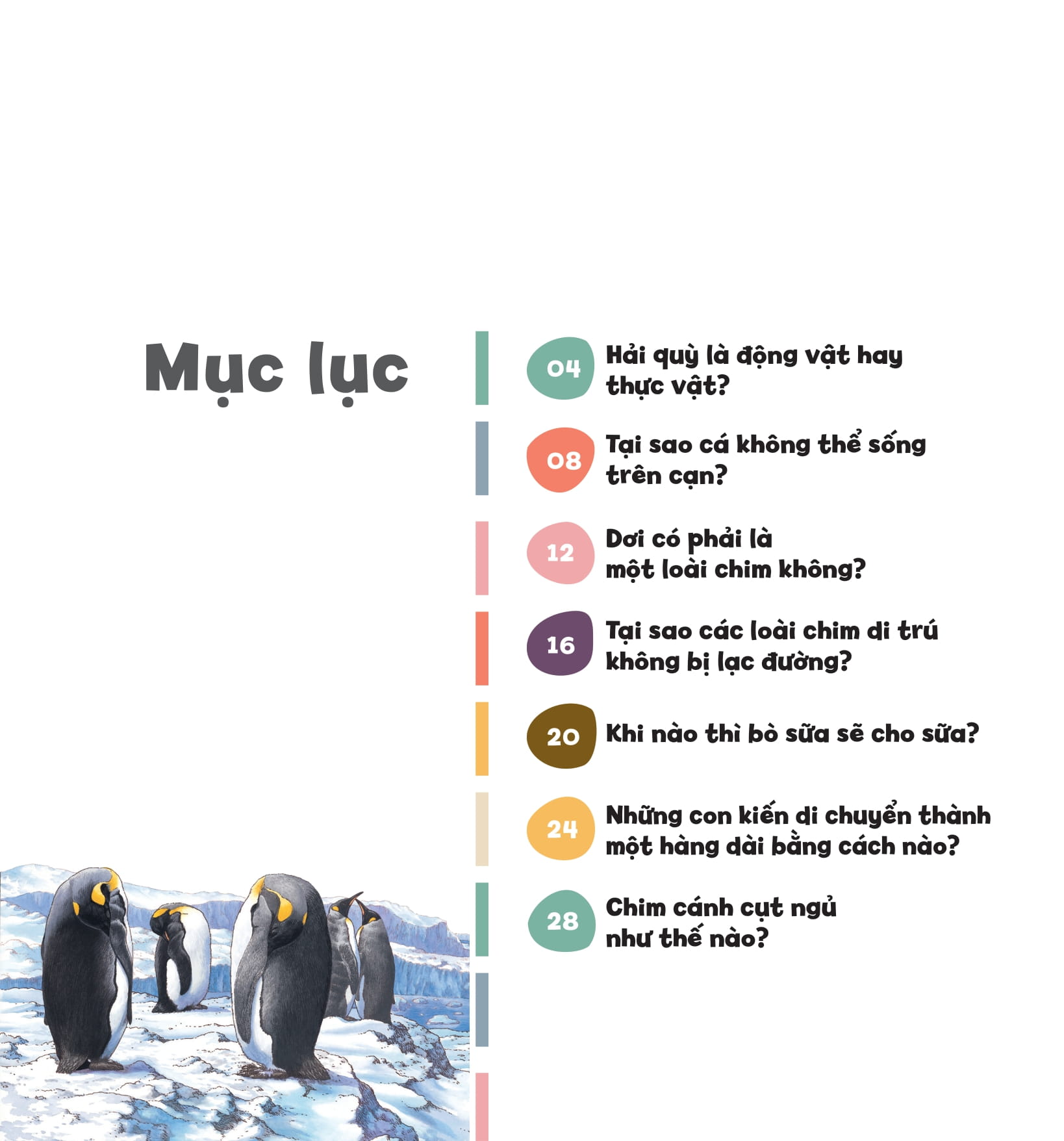 wow, thì ra là thế! - kiến thức ít ai biết về động vật - Ảnh 5