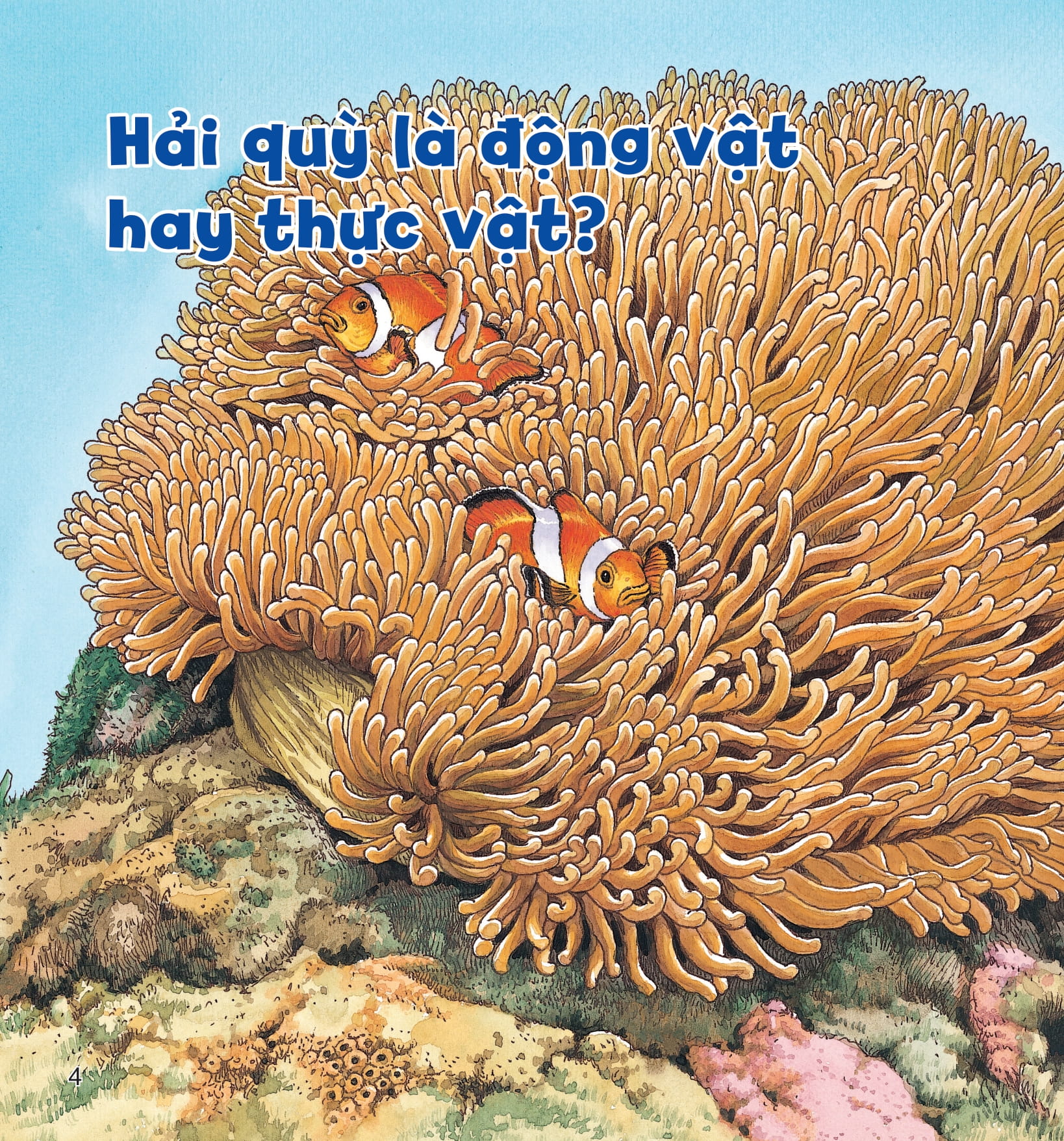 wow, thì ra là thế! - kiến thức ít ai biết về động vật - Ảnh 9