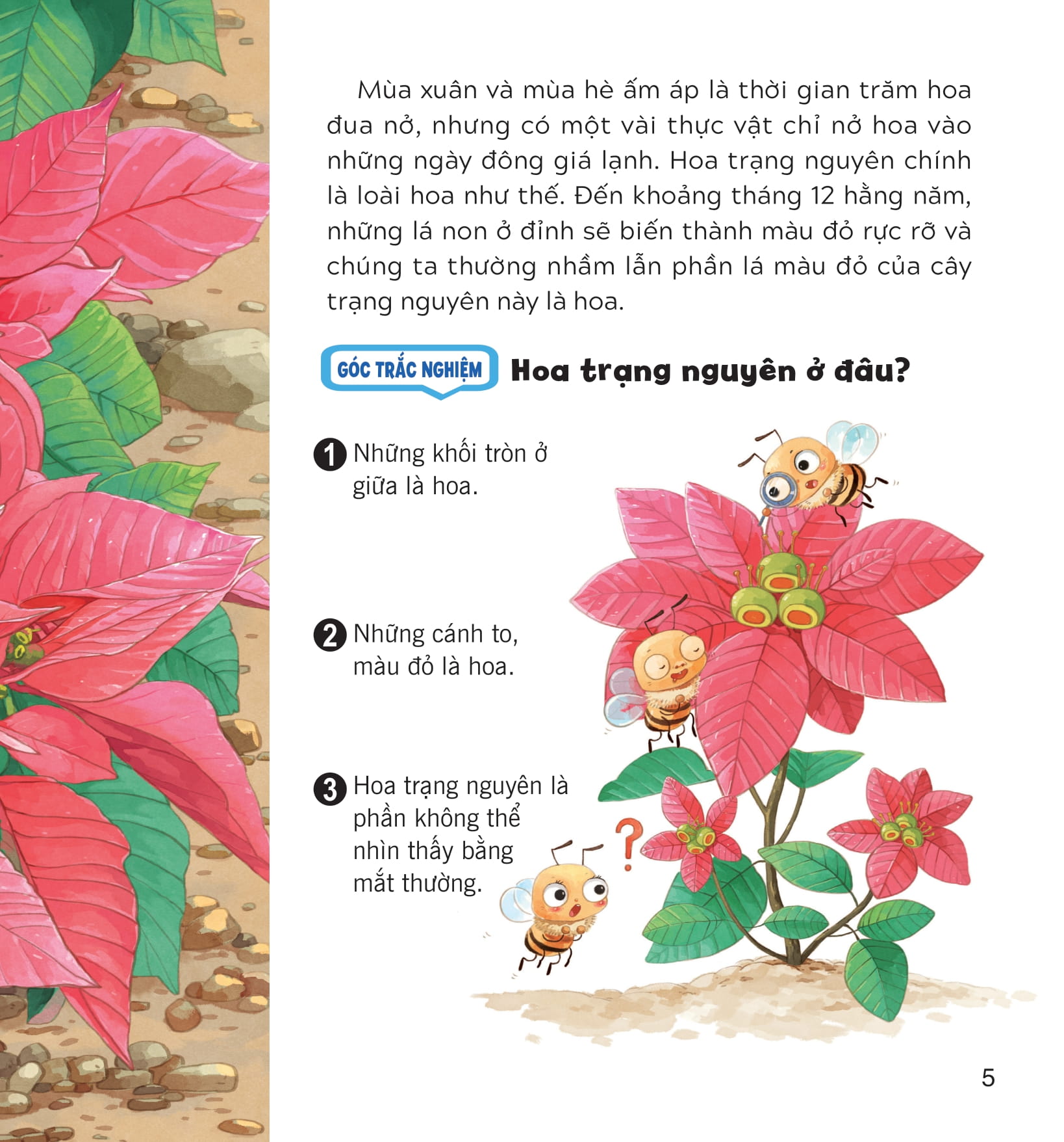 wow, thì ra là thế! - sự sinh trưởng của thực vật - Ảnh 11