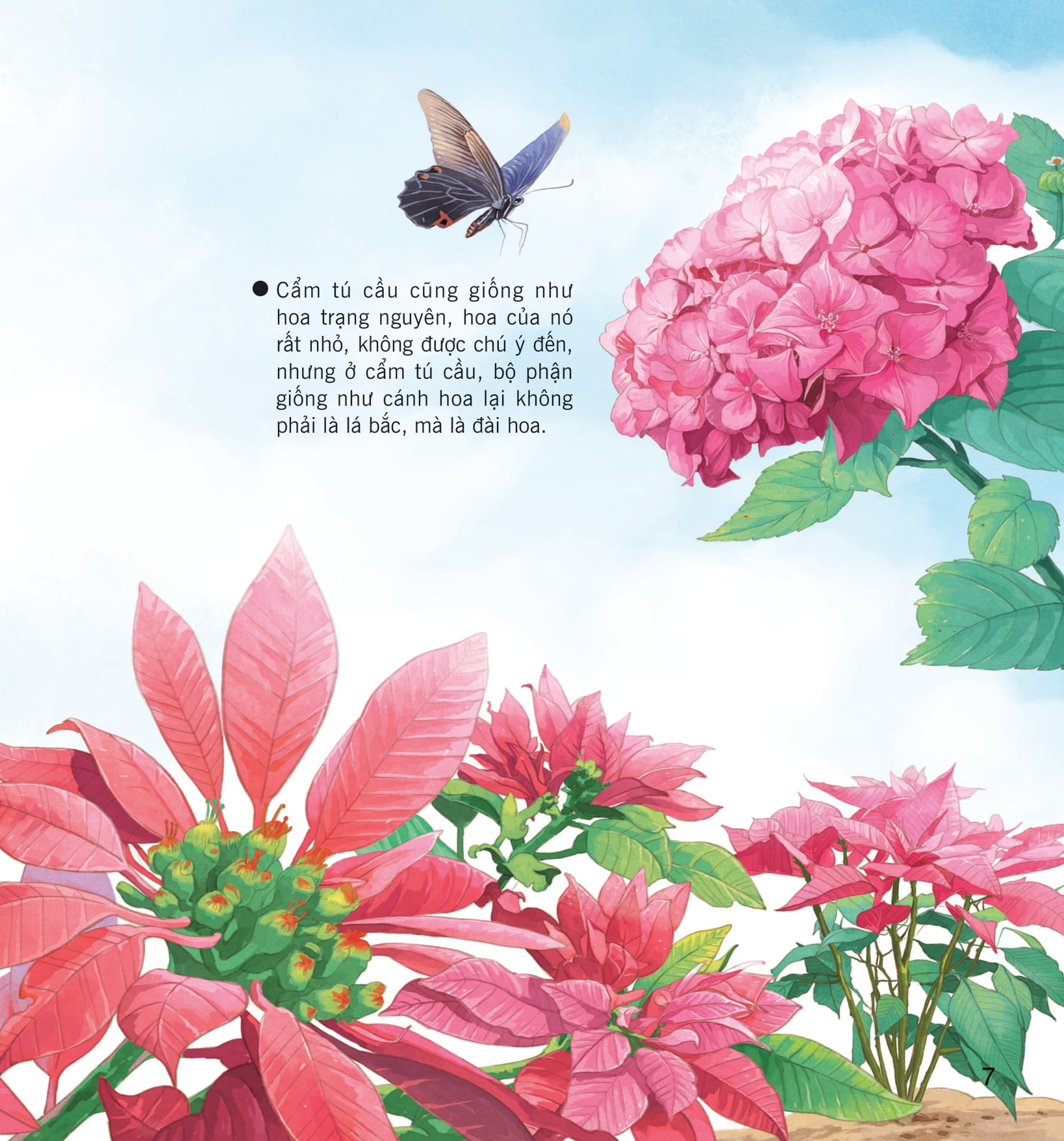 wow, thì ra là thế! - sự sinh trưởng của thực vật - Ảnh 14