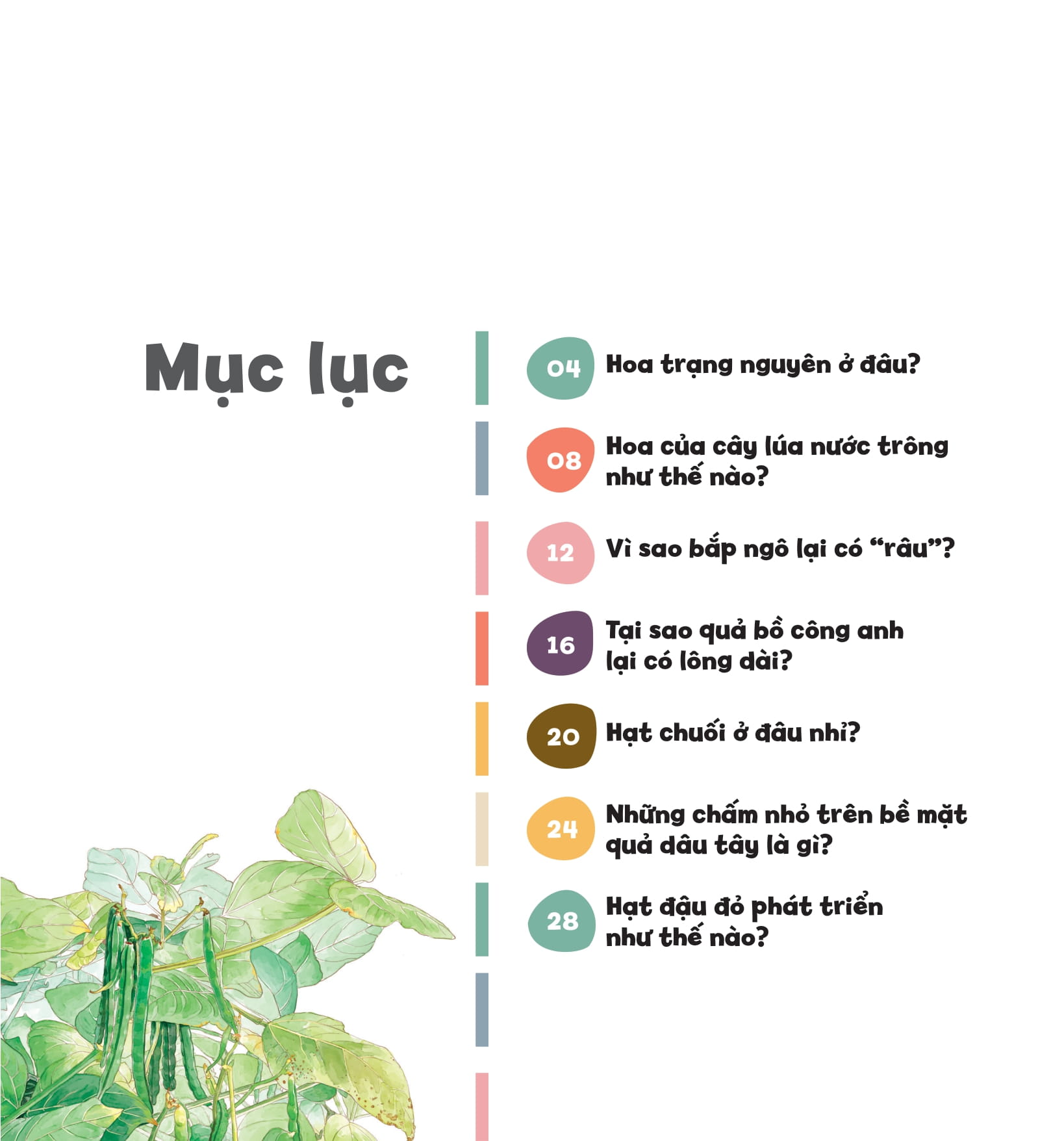 wow, thì ra là thế! - sự sinh trưởng của thực vật - Ảnh 5