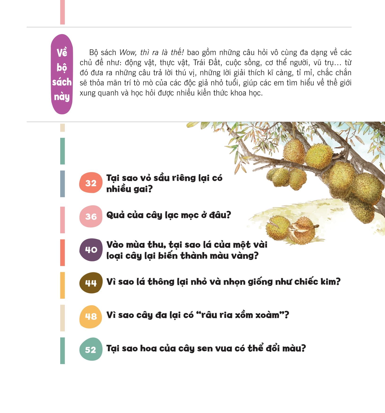 wow, thì ra là thế! - sự sinh trưởng của thực vật - Ảnh 7