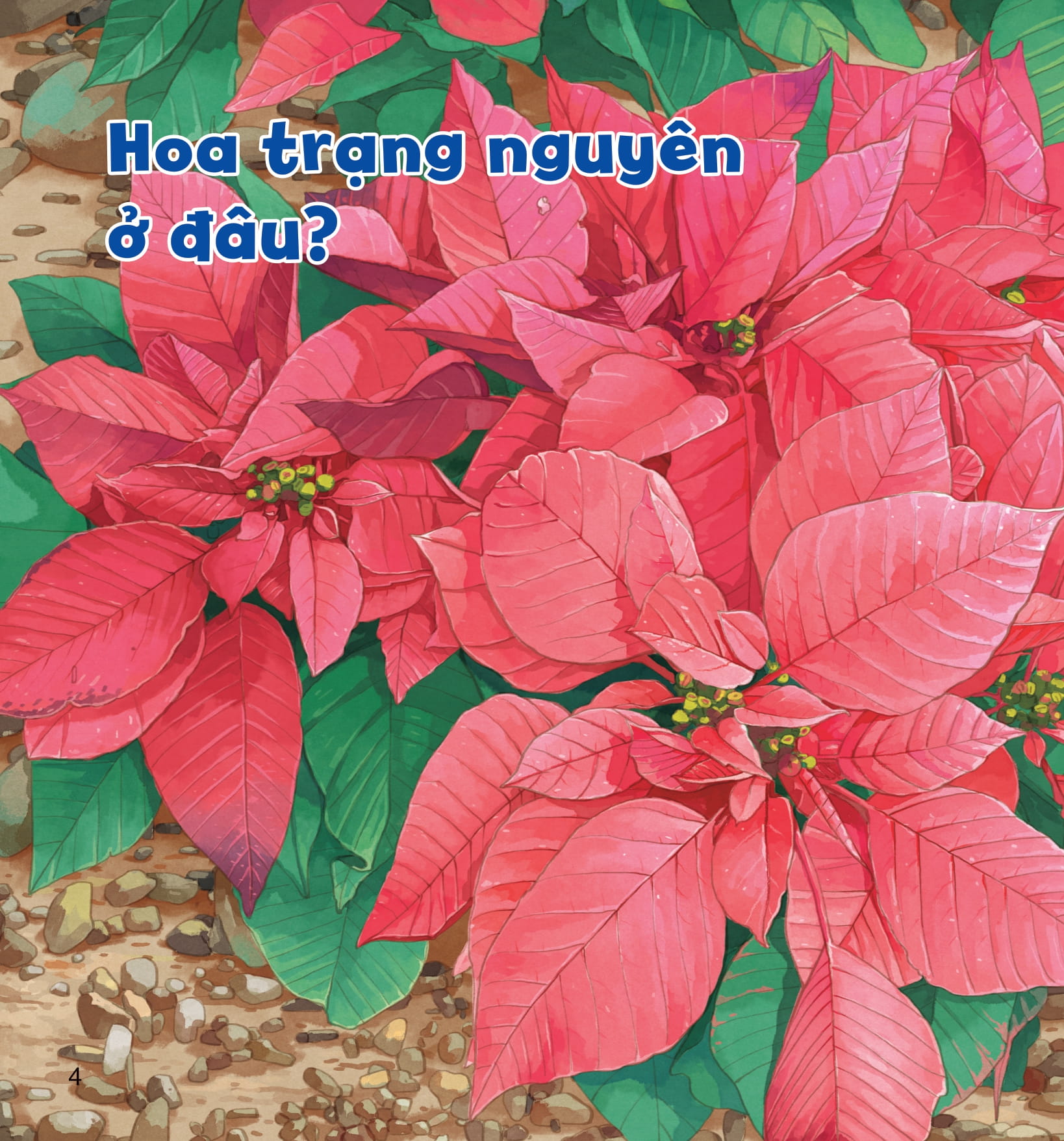 wow, thì ra là thế! - sự sinh trưởng của thực vật - Ảnh 9